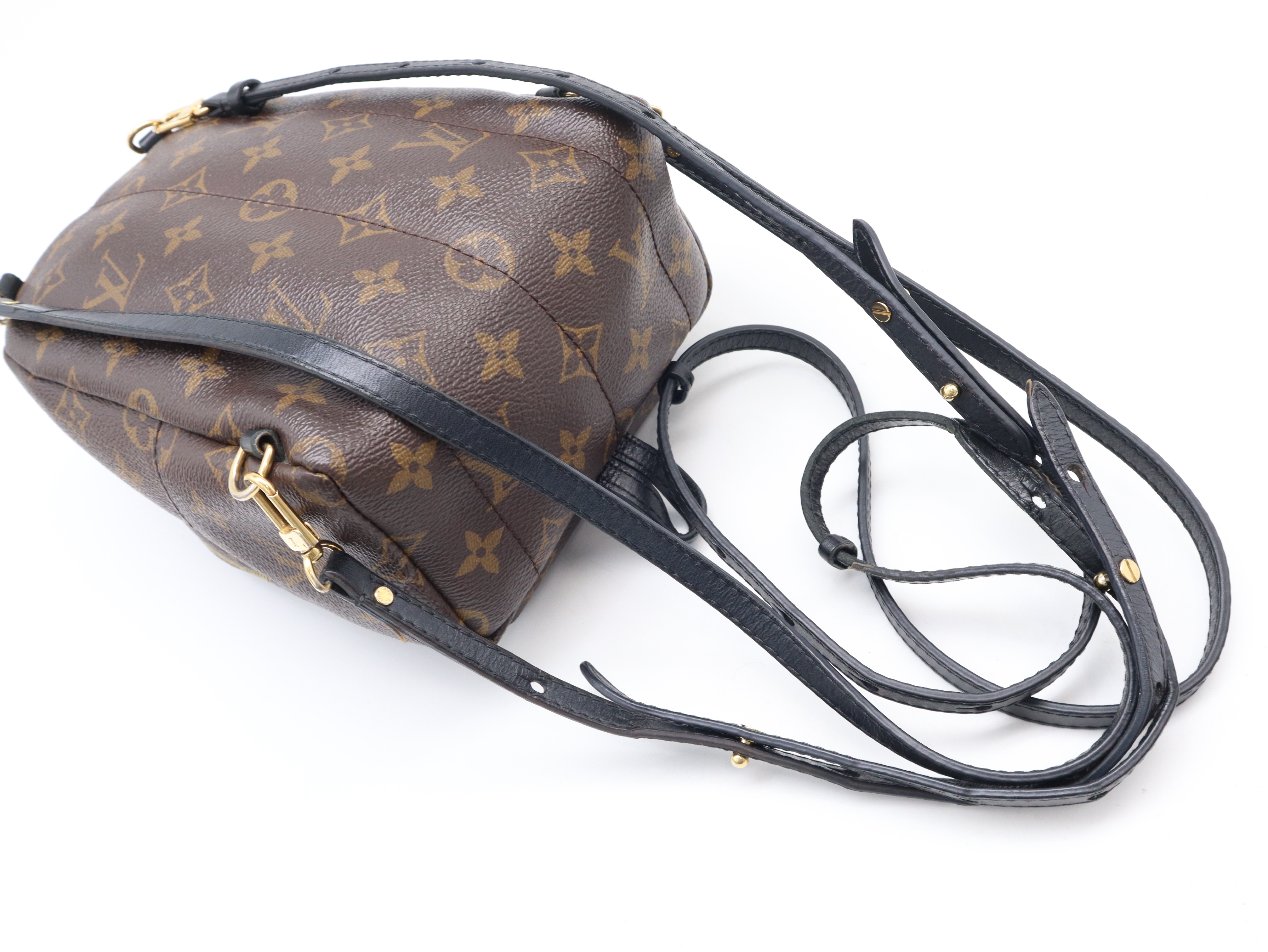 M44873 Monogram Palm Springs MINI Backpack with Dust Bag — view 6