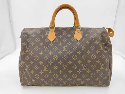 LV Speedy Handbag