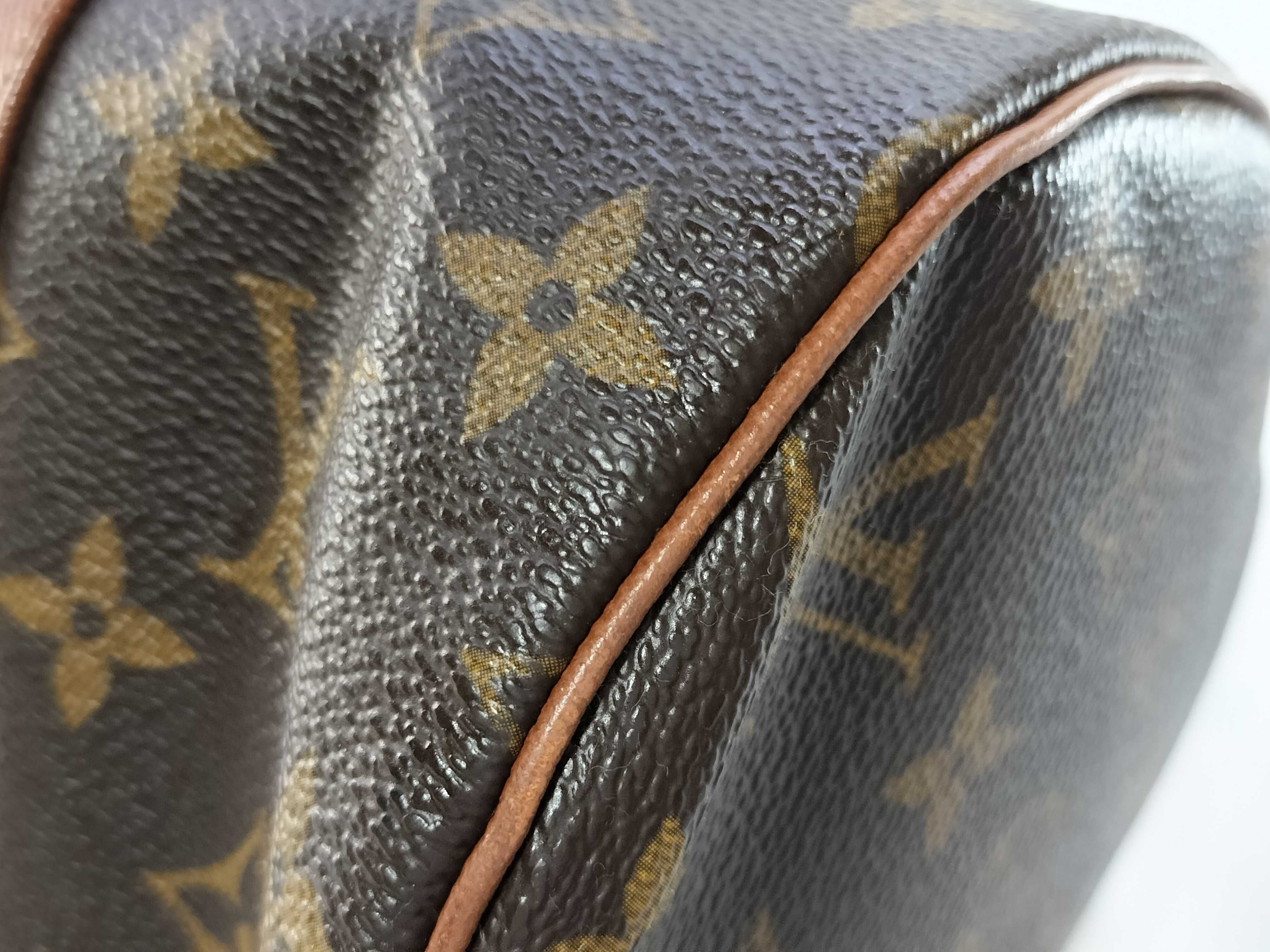 Monogram Old Papillon Handbag — view 7