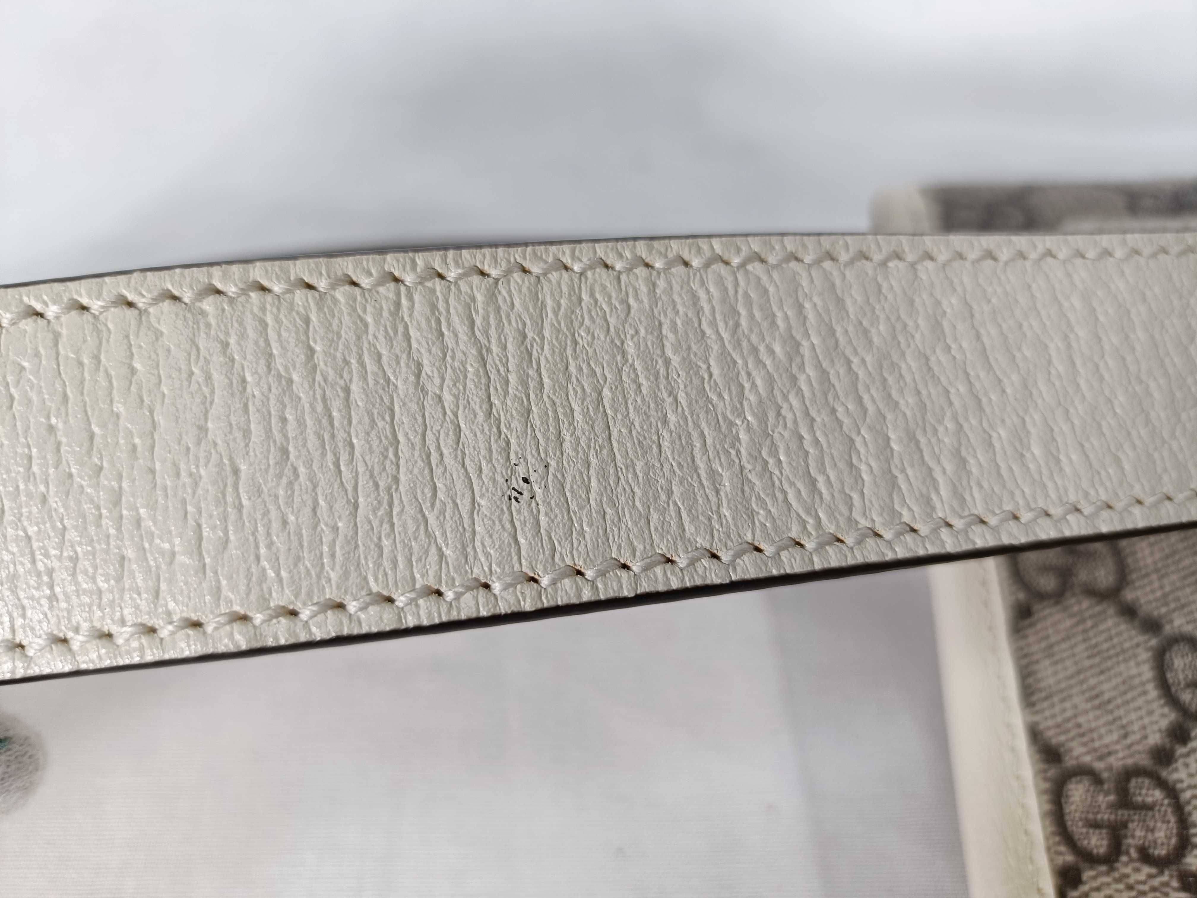GG Supreme Ophidia Waist Bag Shoulder Bag — view 14