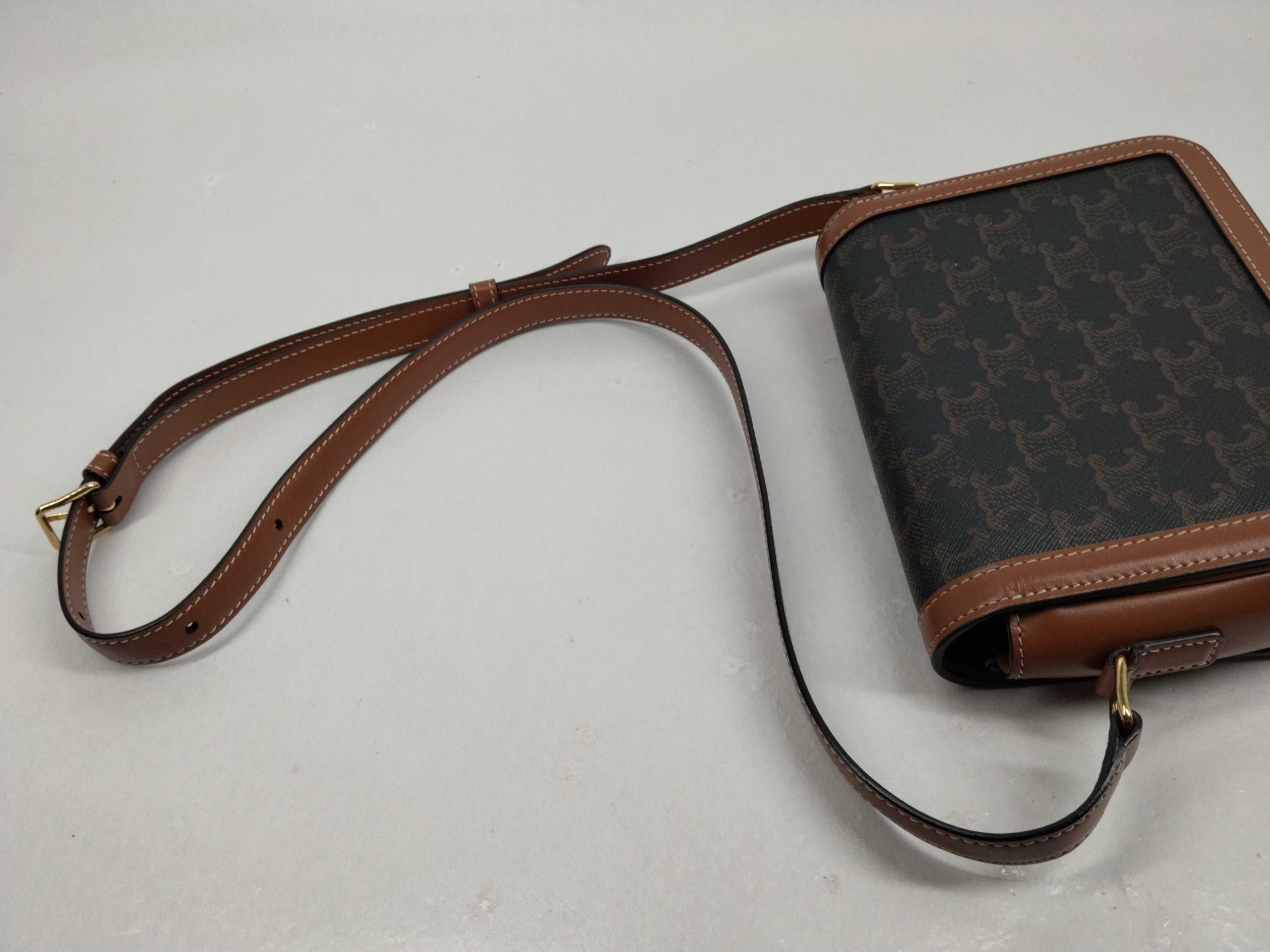 Teen Triomphe Shoulder Bag, Brown Shoulder Bag — view 6