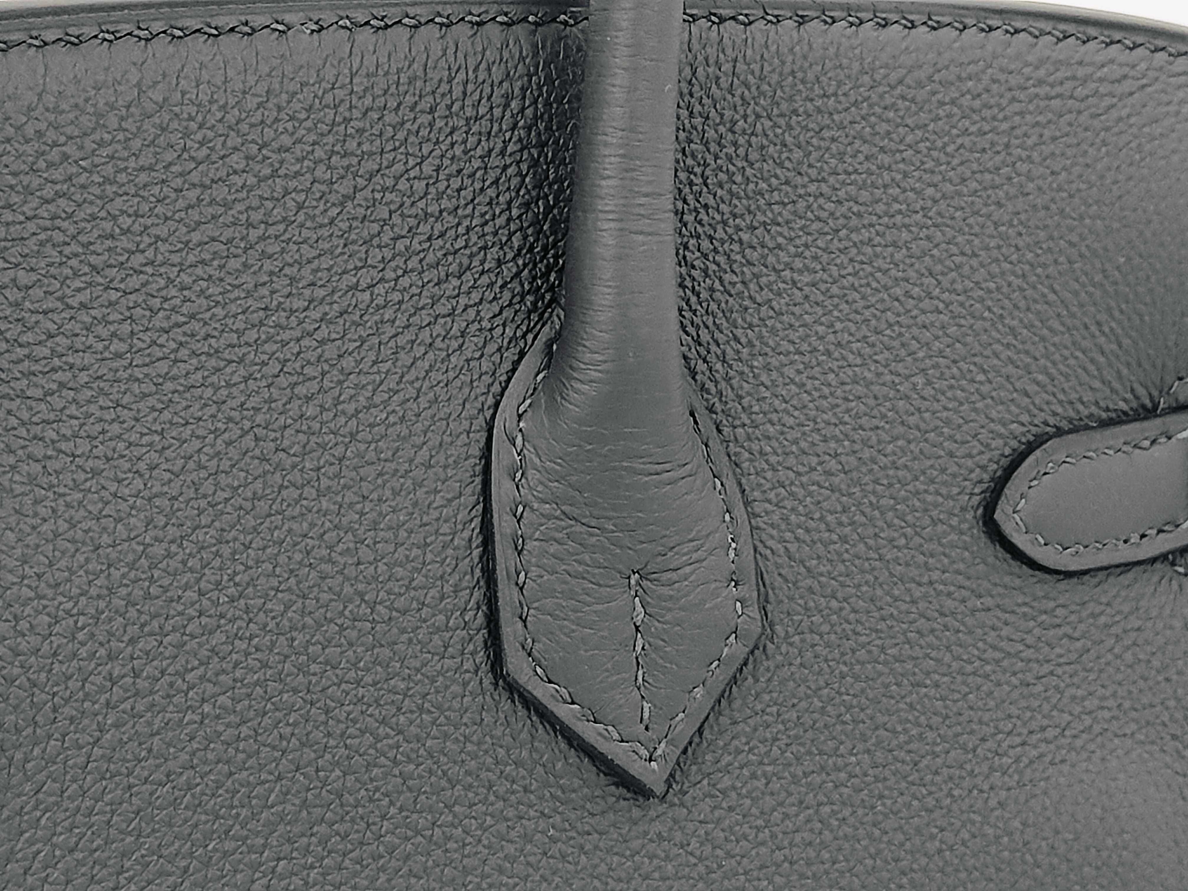 Birkin 25 Gris Misty Togo Gold Hardware G Stamp Handbag — view 5