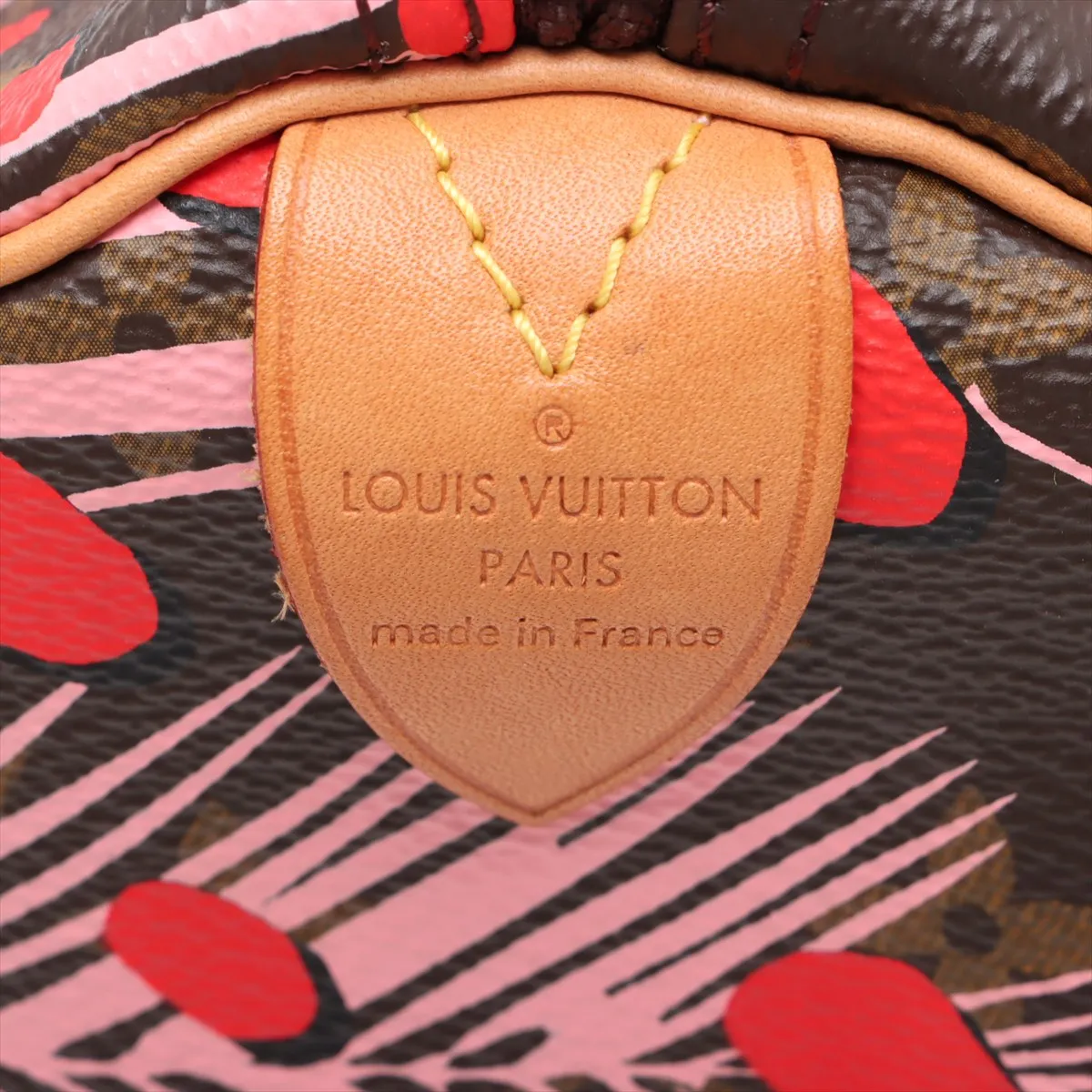 Monogram Jungle Dot Speedy 30 M41983 MB1146 Brown x Pink x Red — view 9