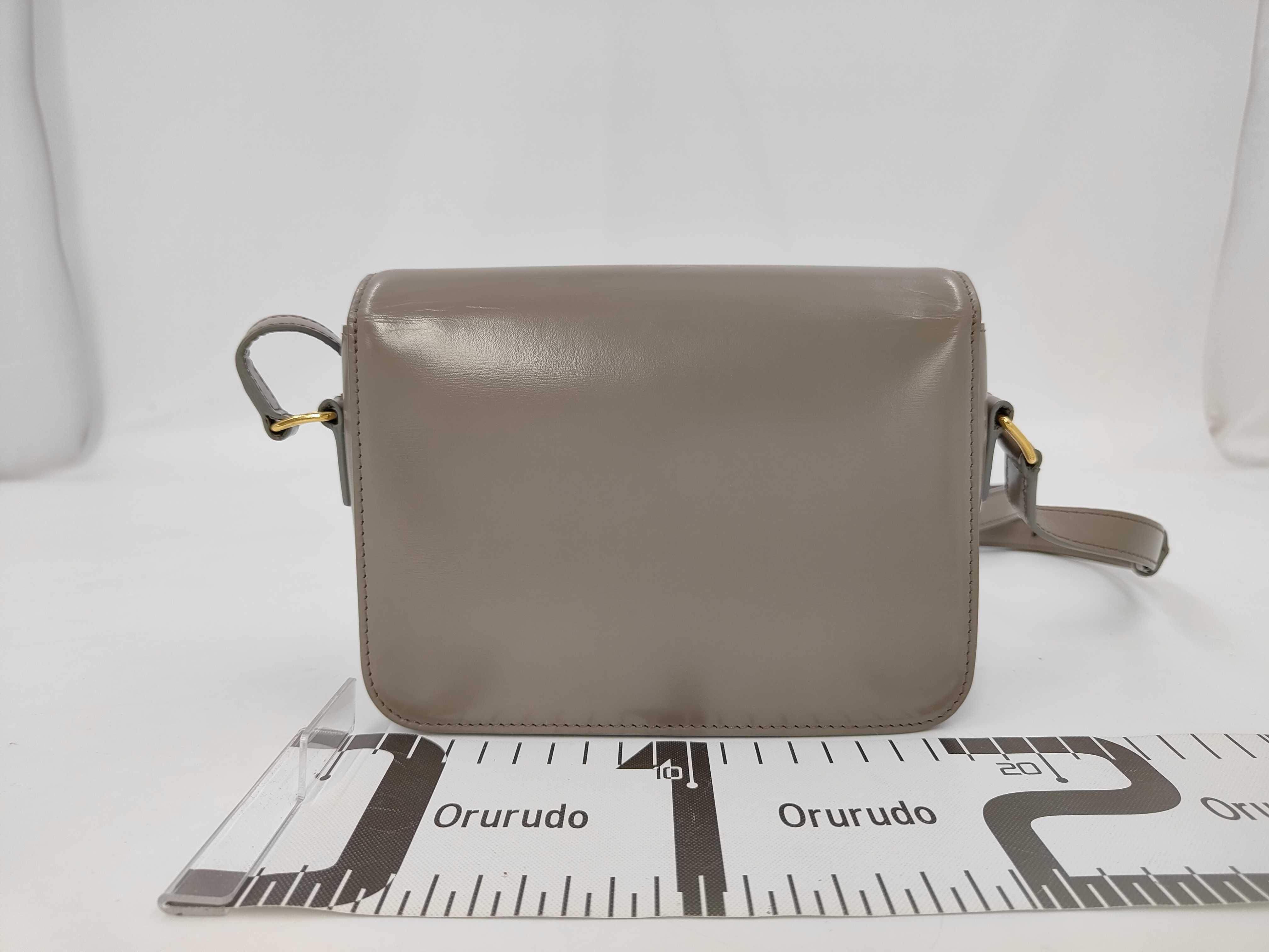 Triomphe Calf Leather Shoulder Bag, Black with Gold Hardware — view 2