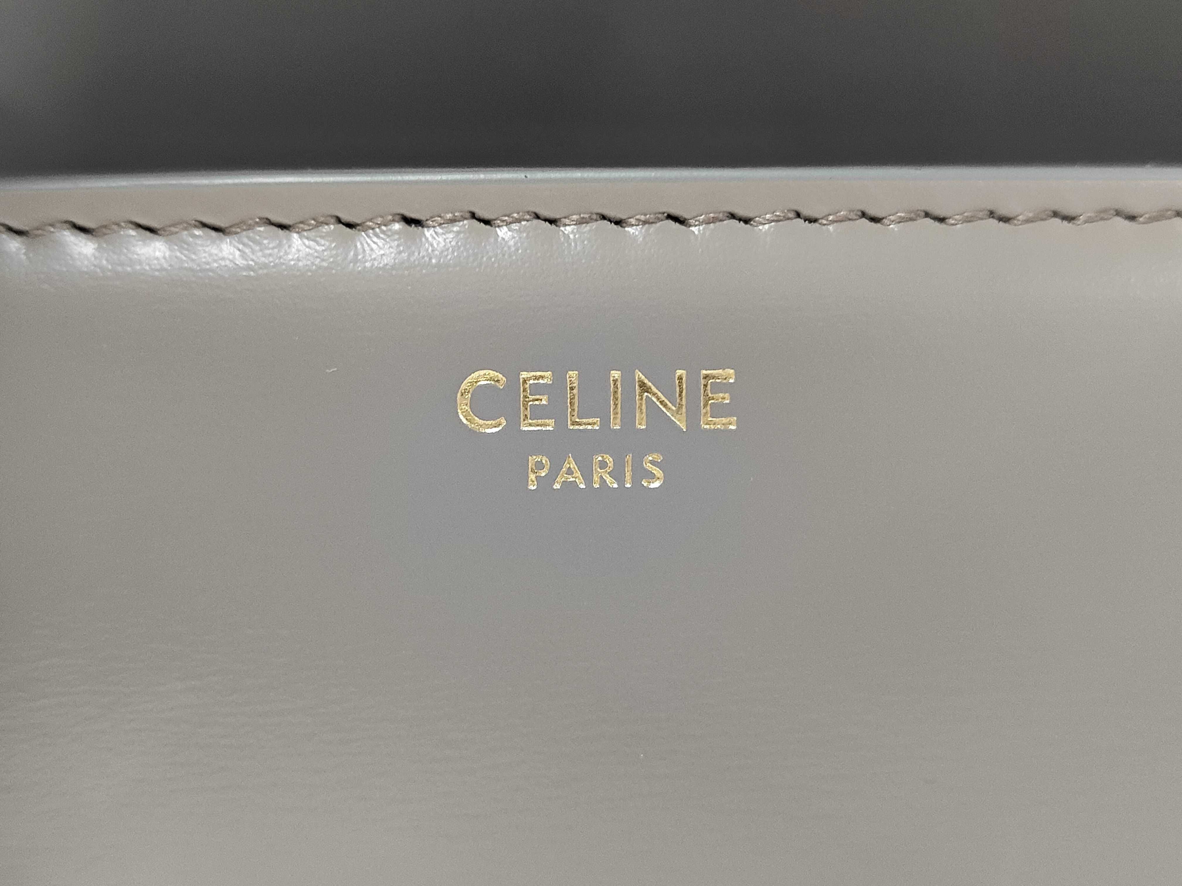 Triomphe Calf Leather Shoulder Bag, Black with Gold Hardware — view 10