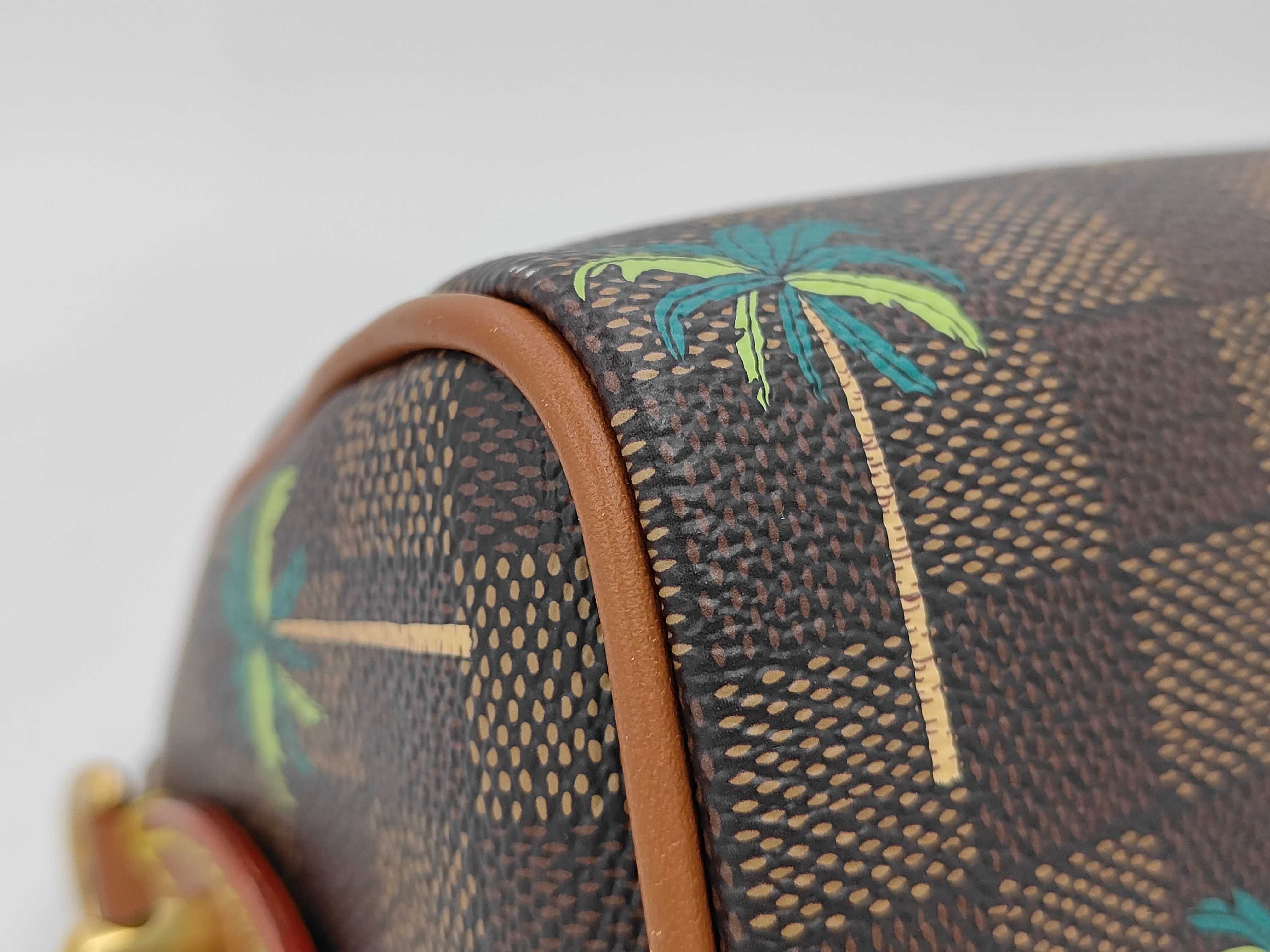 LV x The Darjeeling Limited Speedy Bandoulière 18 N40868 Shoulder Bag — view 6