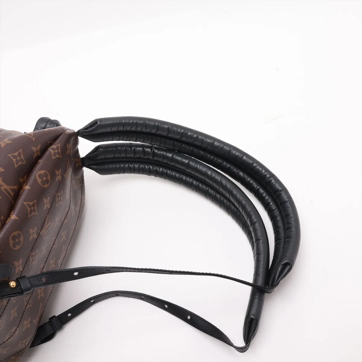 Monogram Palm Springs Backpack PM M41560 Brown — view 6