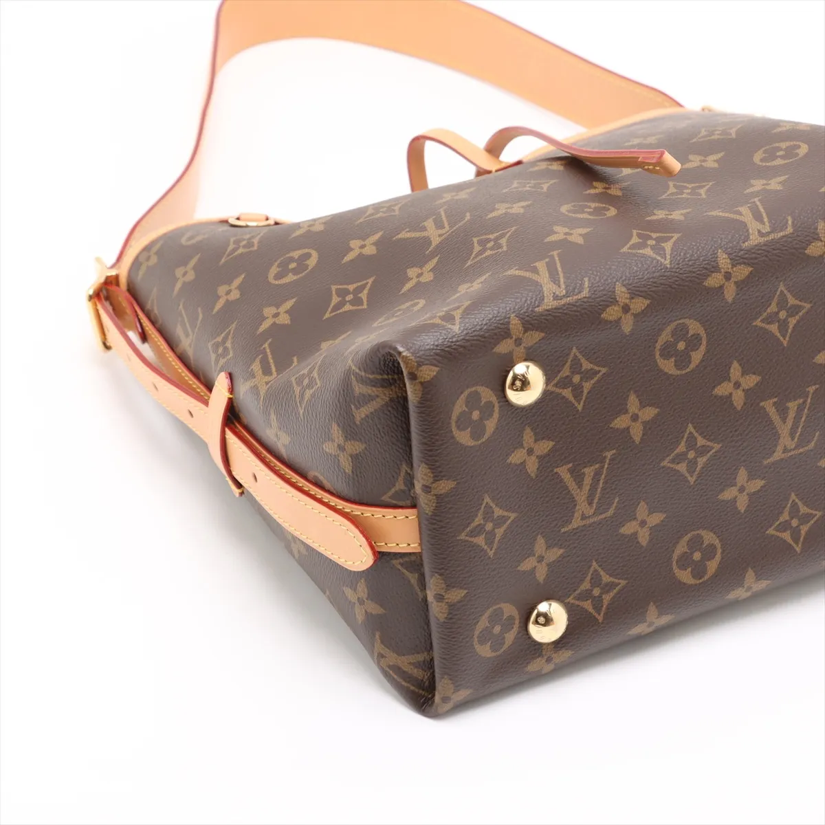 Monogram Carryall NM PM M46203 Brown (RFID detected) — view 4