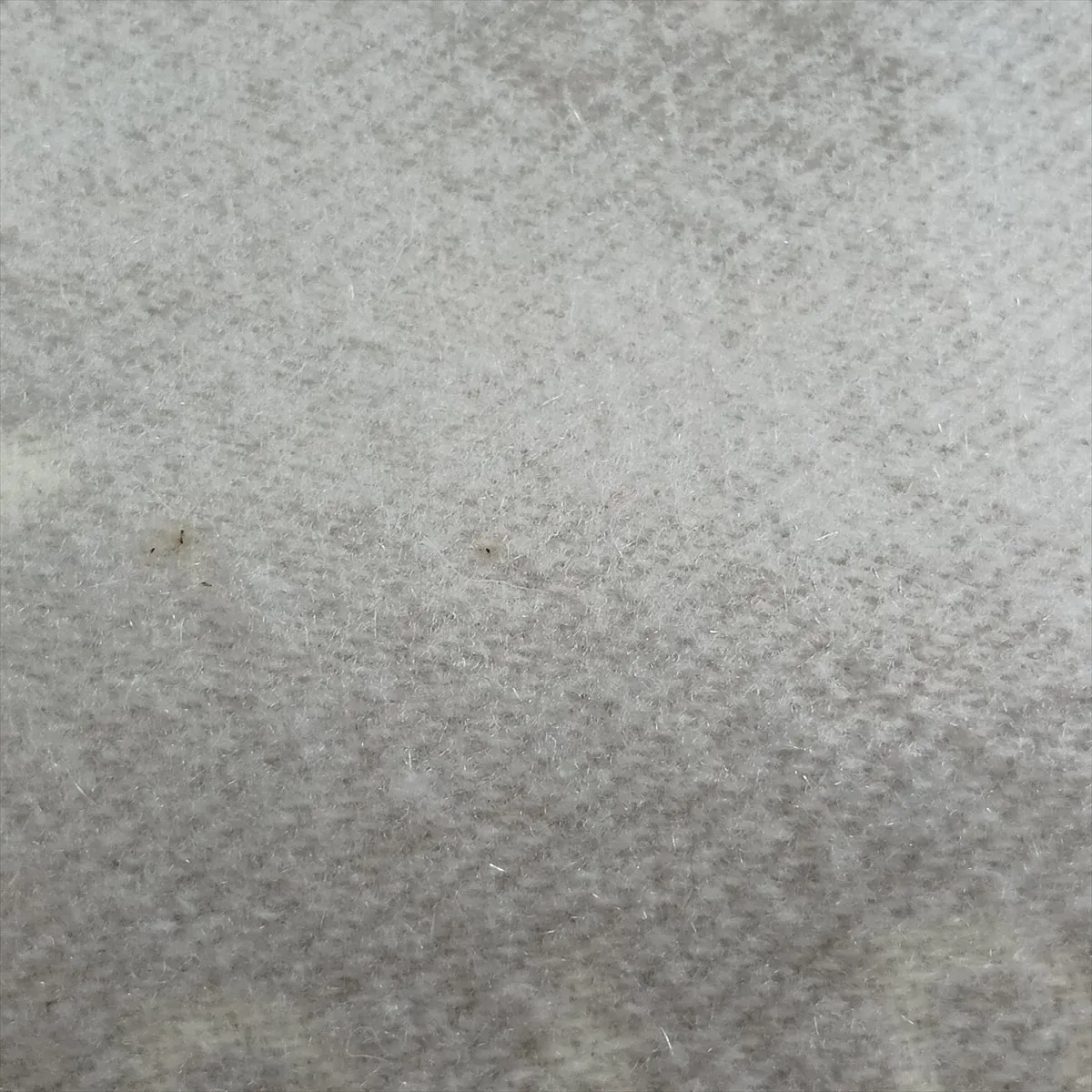 cashmere scarf, gray x ivory. Shows wear, — view 5
