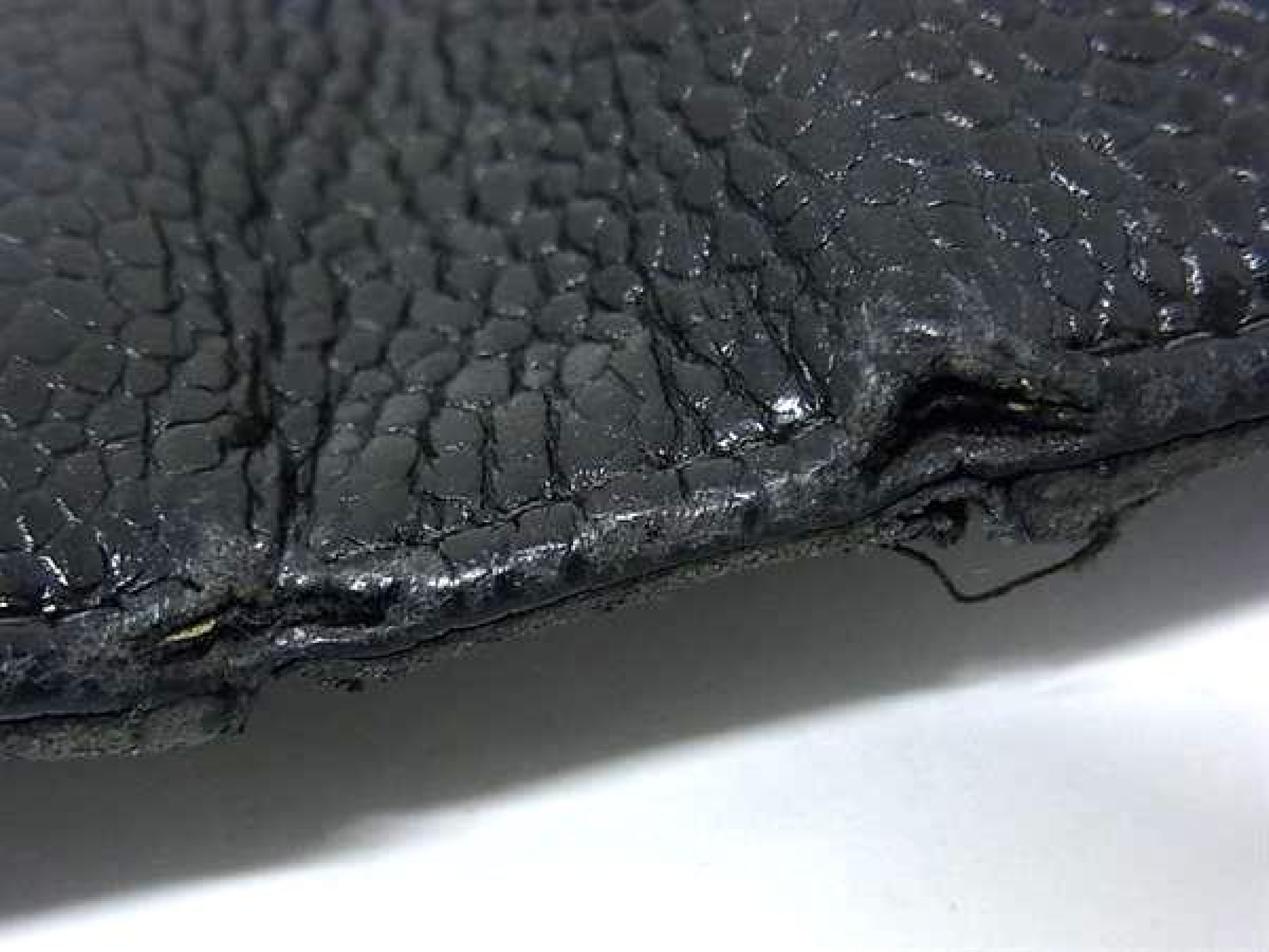Coco Mark Caviar Skin Bi-fold Wallet, Coin Purse, Billfold, Card Slots, Women's, Black, FY5345 — view 8