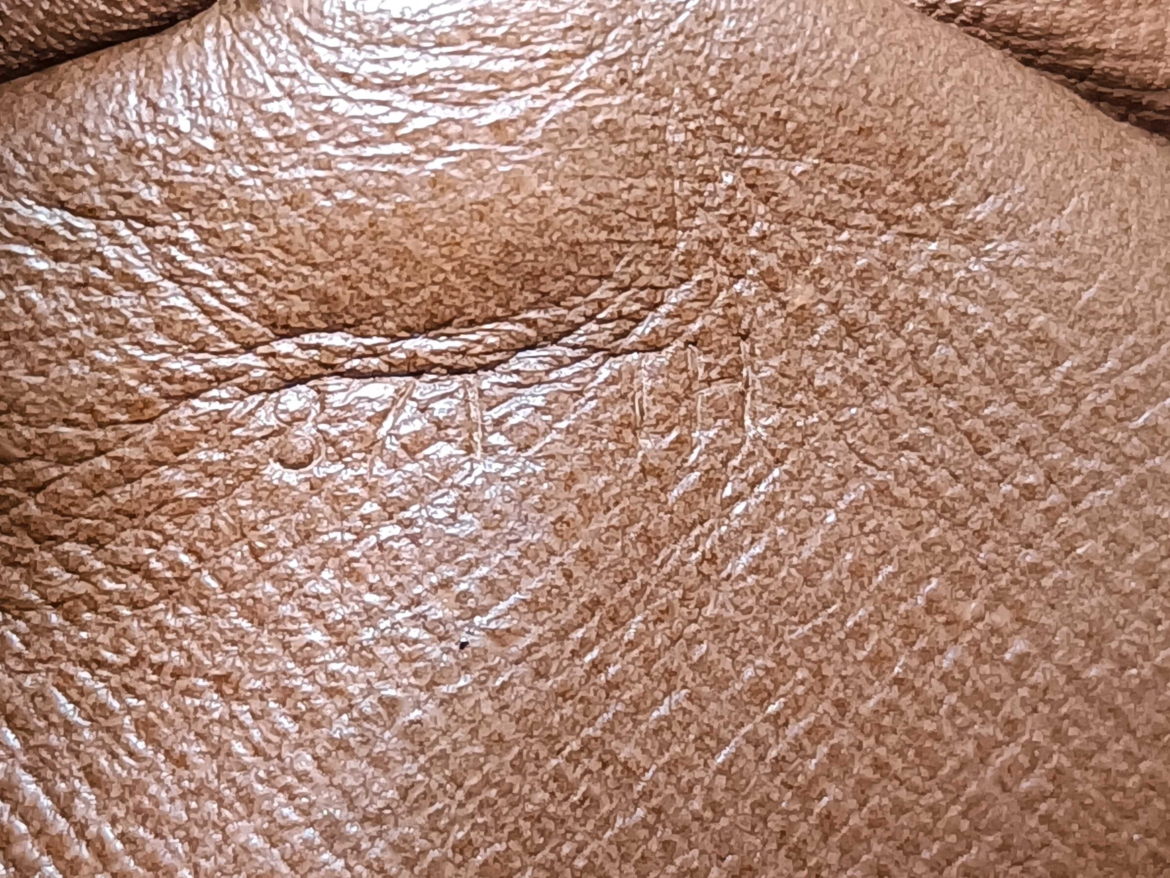 Monogram Old Papillon 30 Handbag with Pouch — view 12