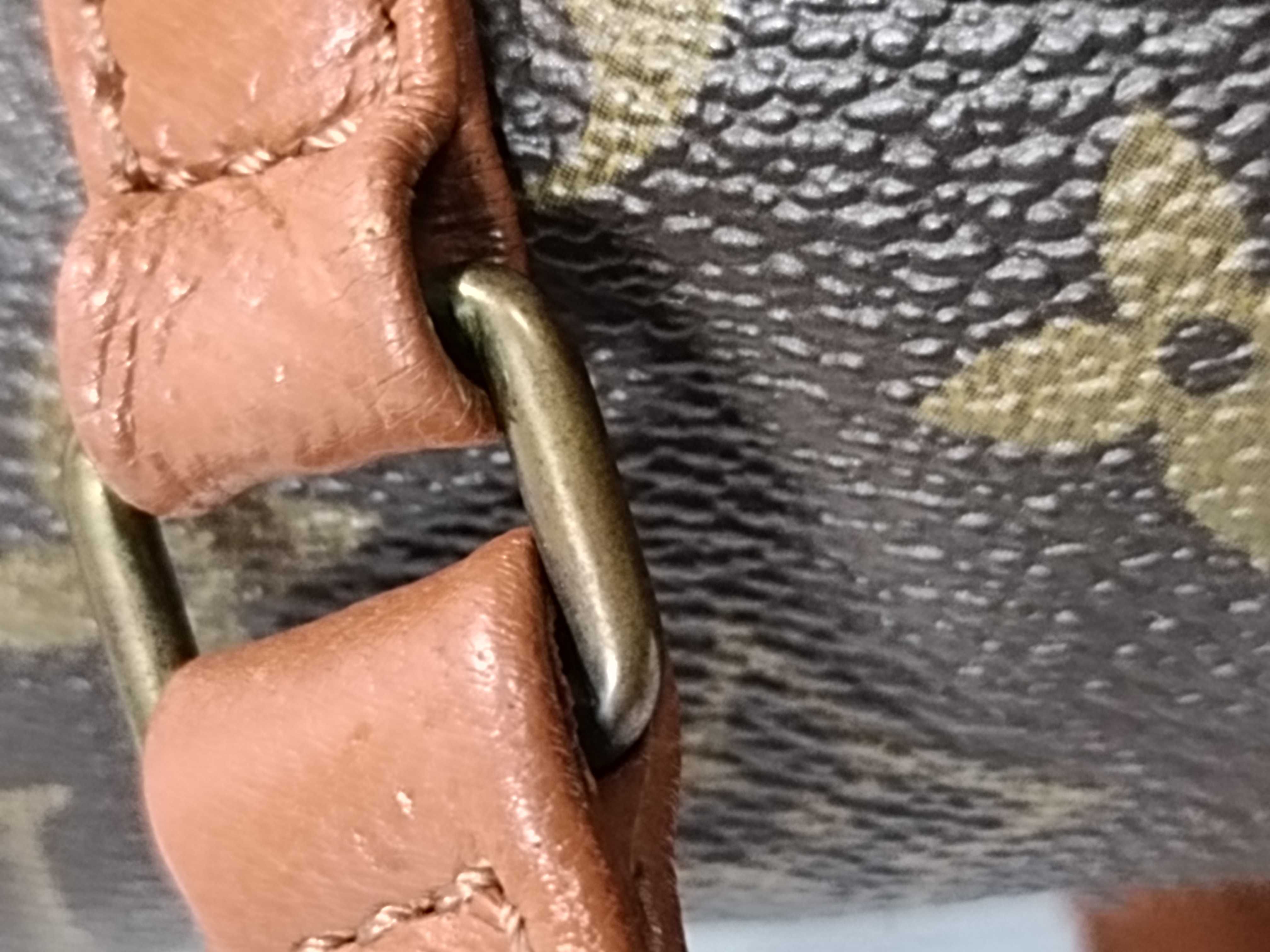 Monogram Old Papillon 30 Handbag with Pouch — view 5