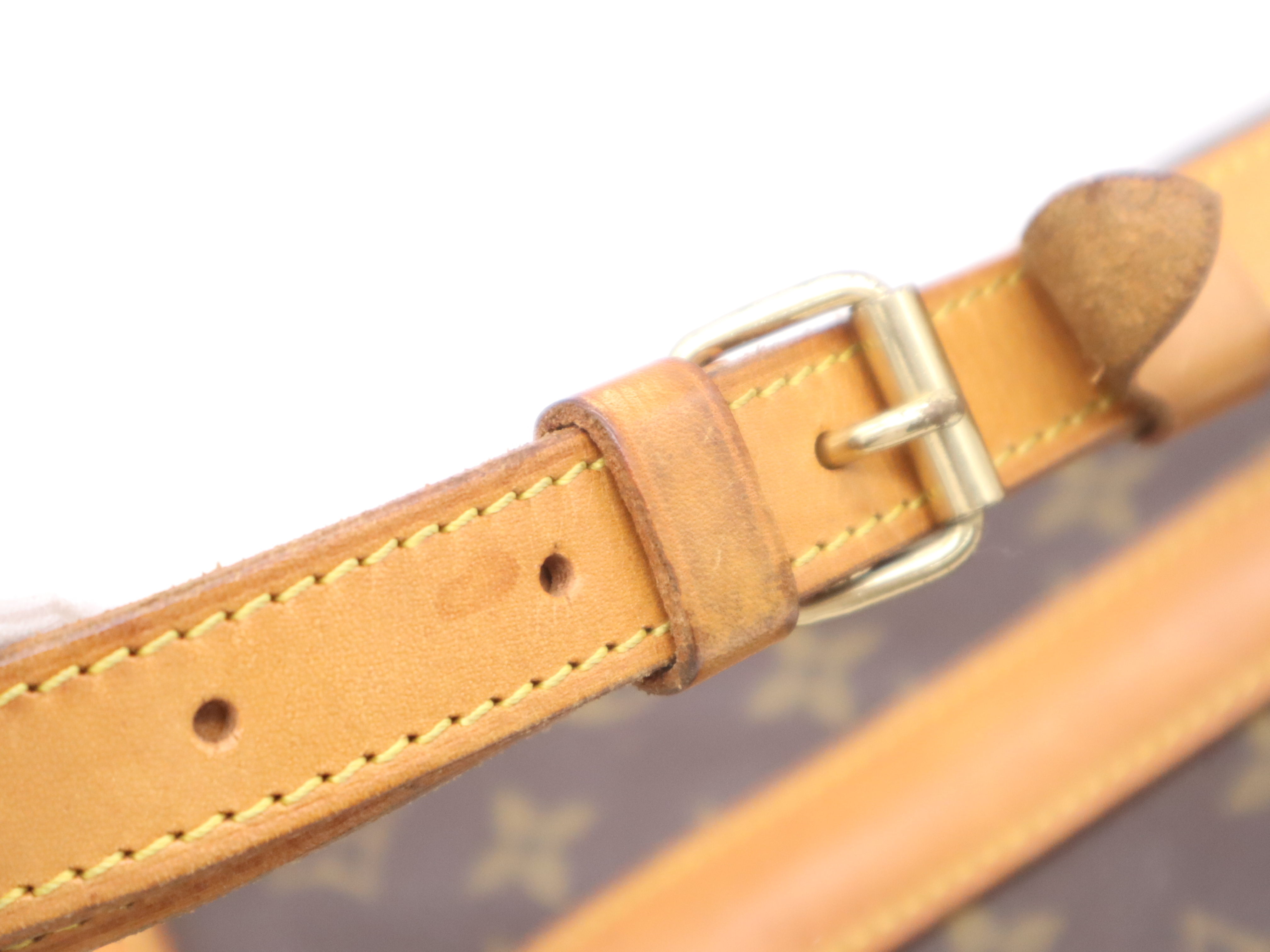 M42243 Monogram Randonee PM Tote Bag — view 9