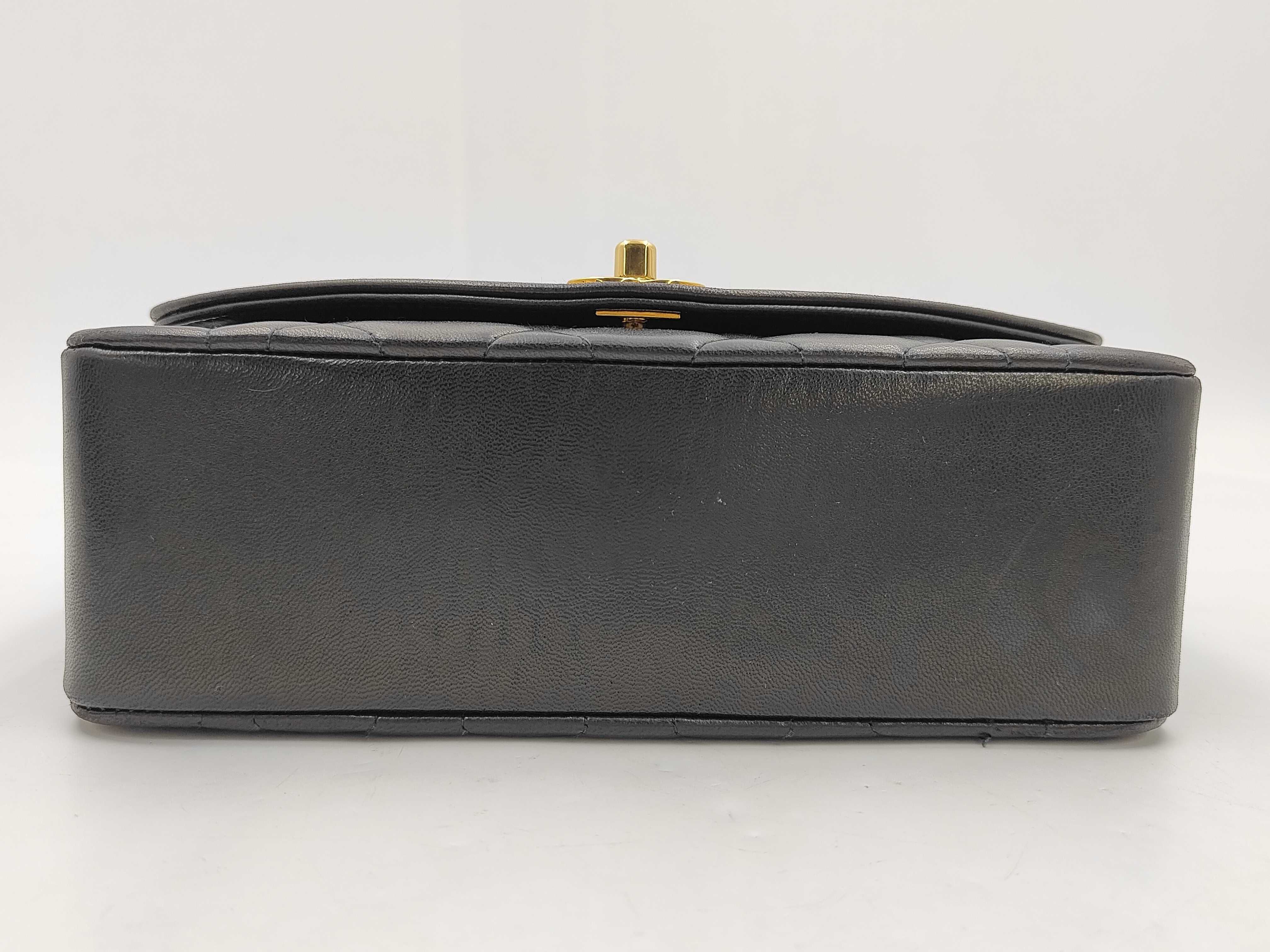 Diana Shoulder Bag (Serial No. 2) — view 5