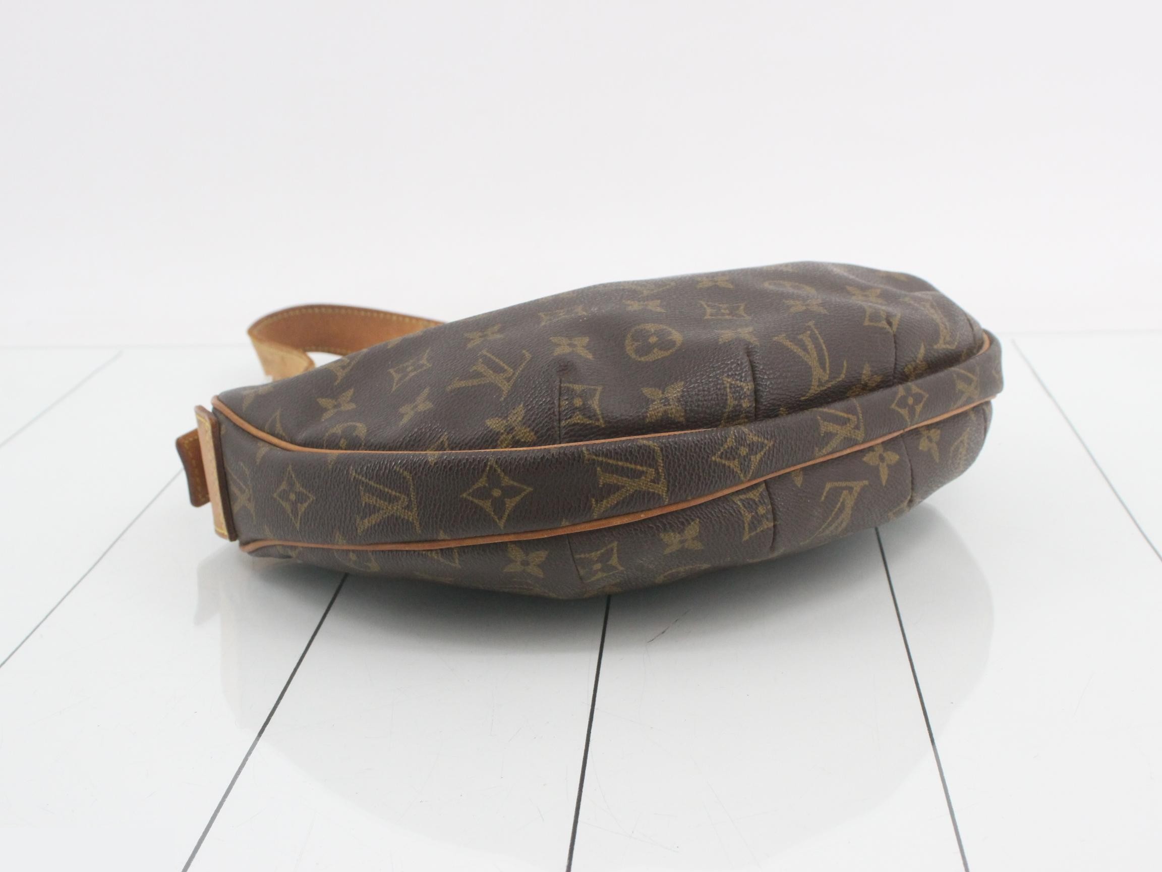 Monogram Croissant Shoulder Bag — view 5