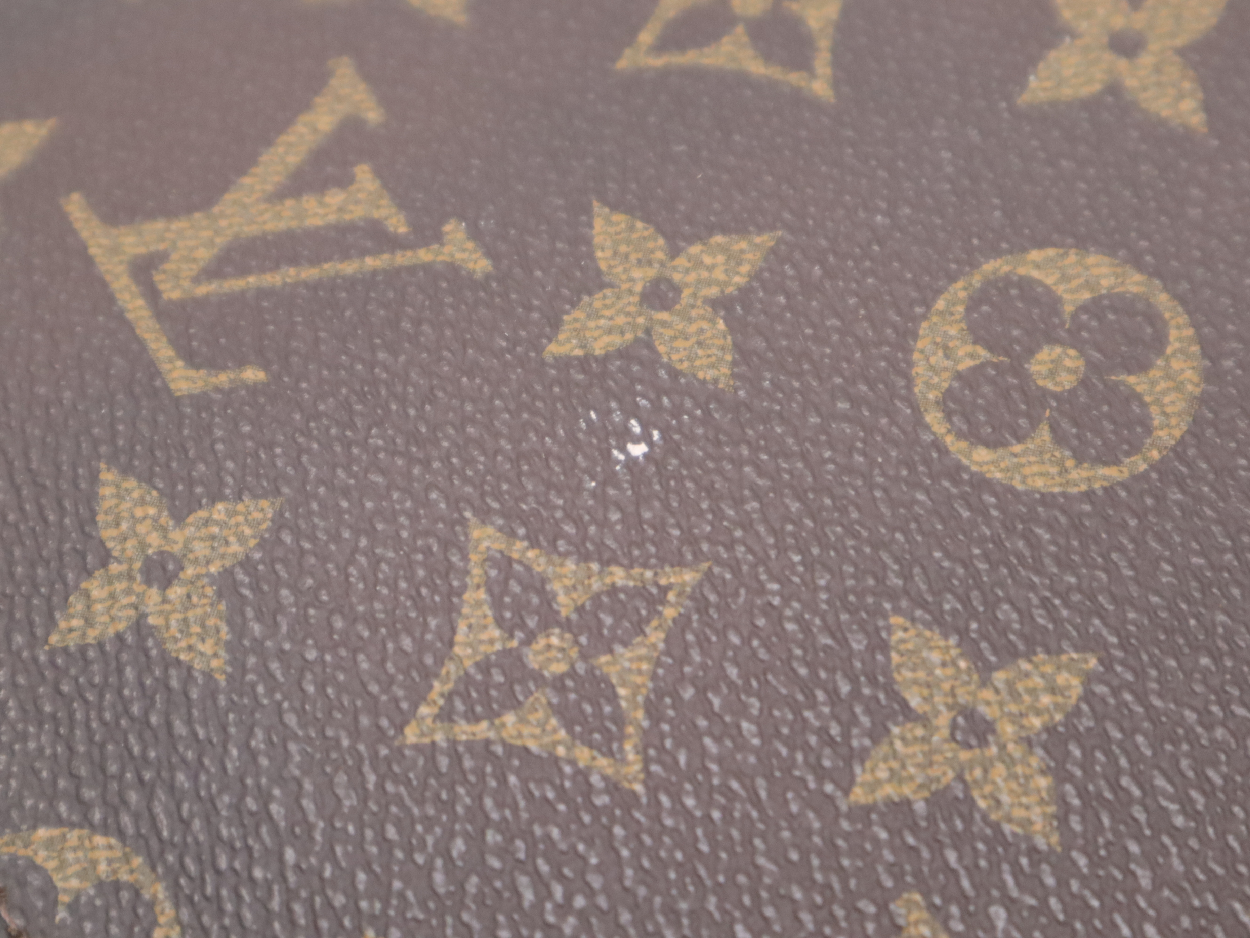 M92292 Monogram Macassar Rally Handbag — view 11
