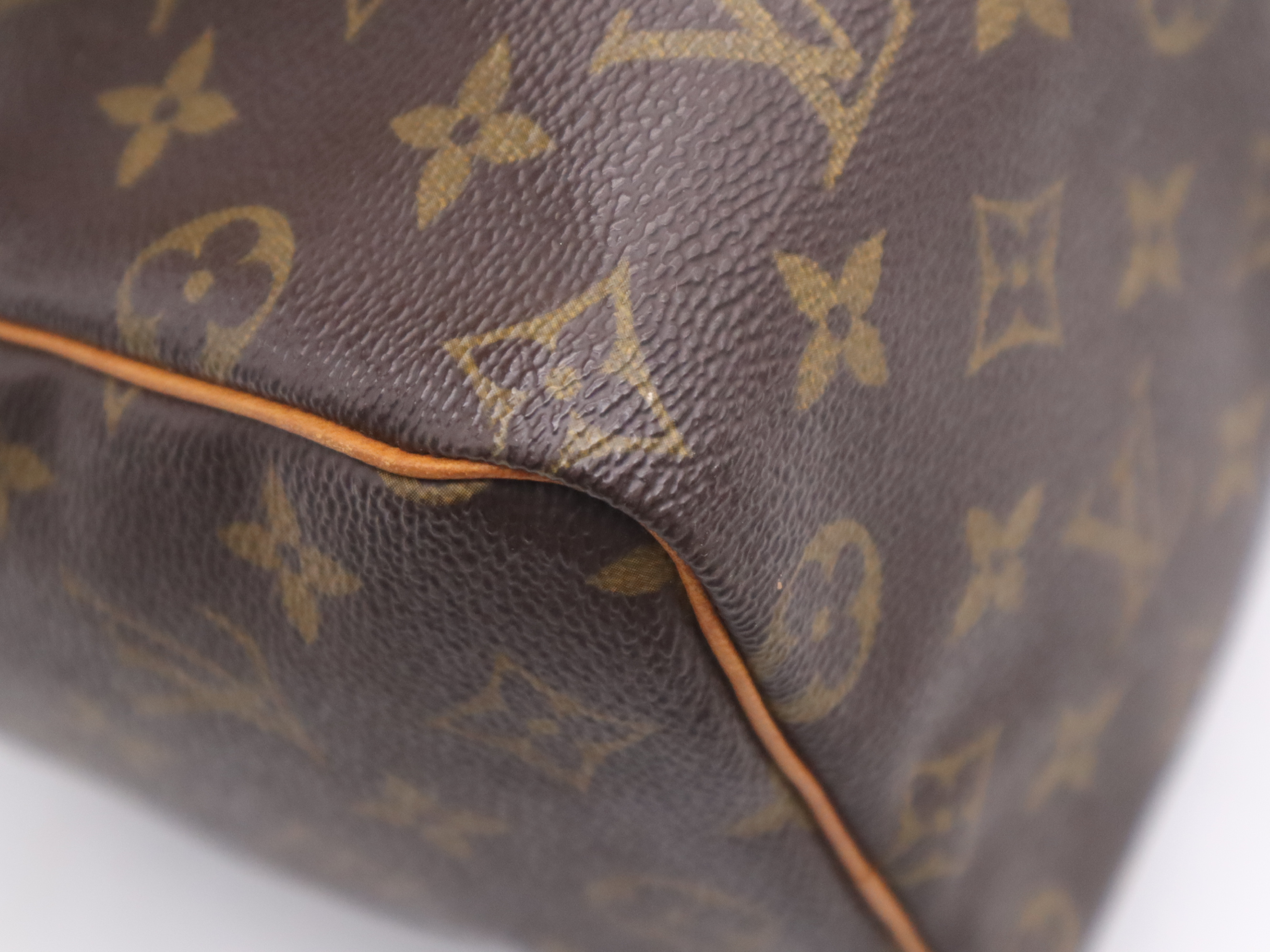 M41528 Monogram Speedy 25 Handbag — view 11