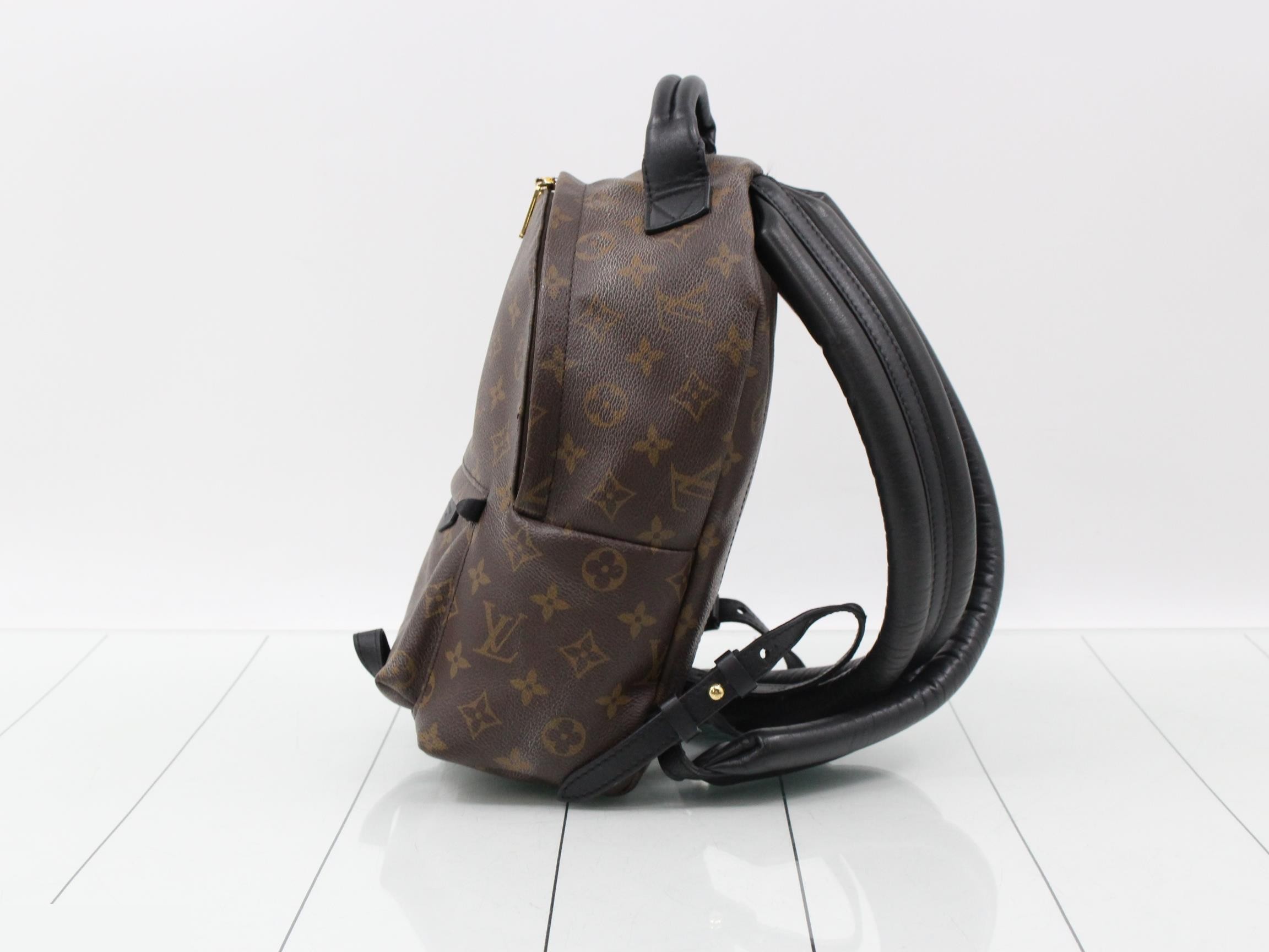 LV Monogram Palm Springs Backpack — view 3