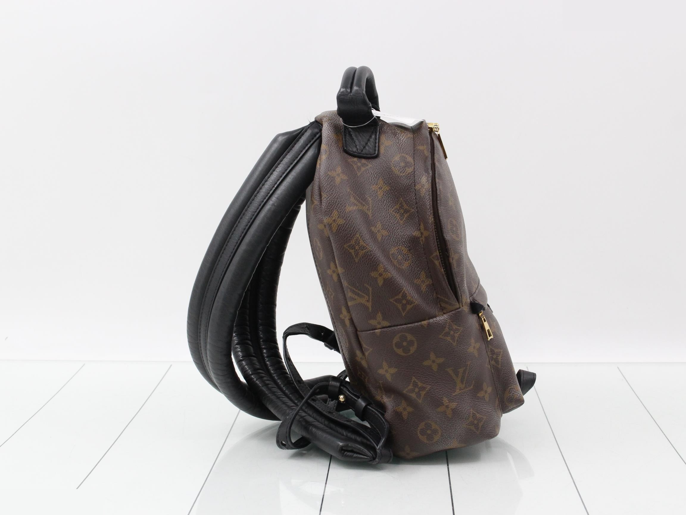 LV Monogram Palm Springs Backpack — view 4