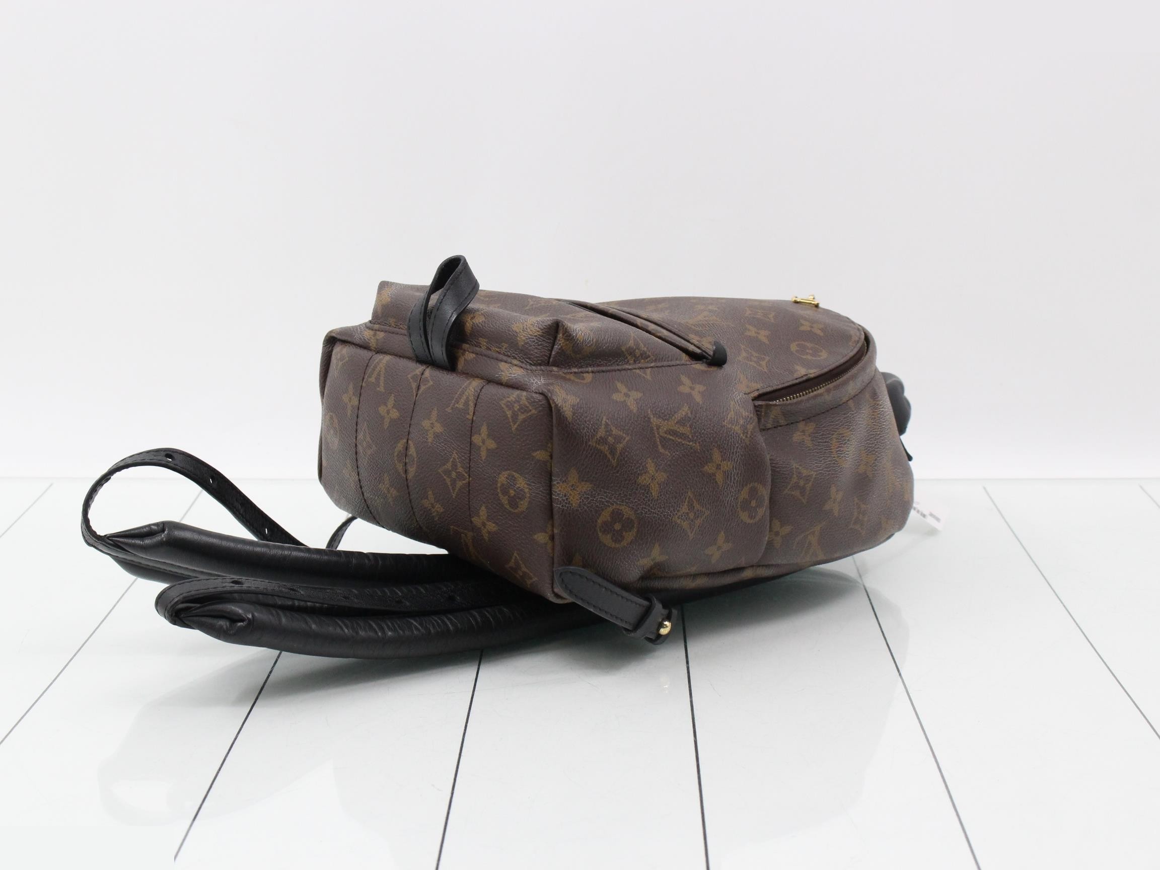 LV Monogram Palm Springs Backpack — view 6