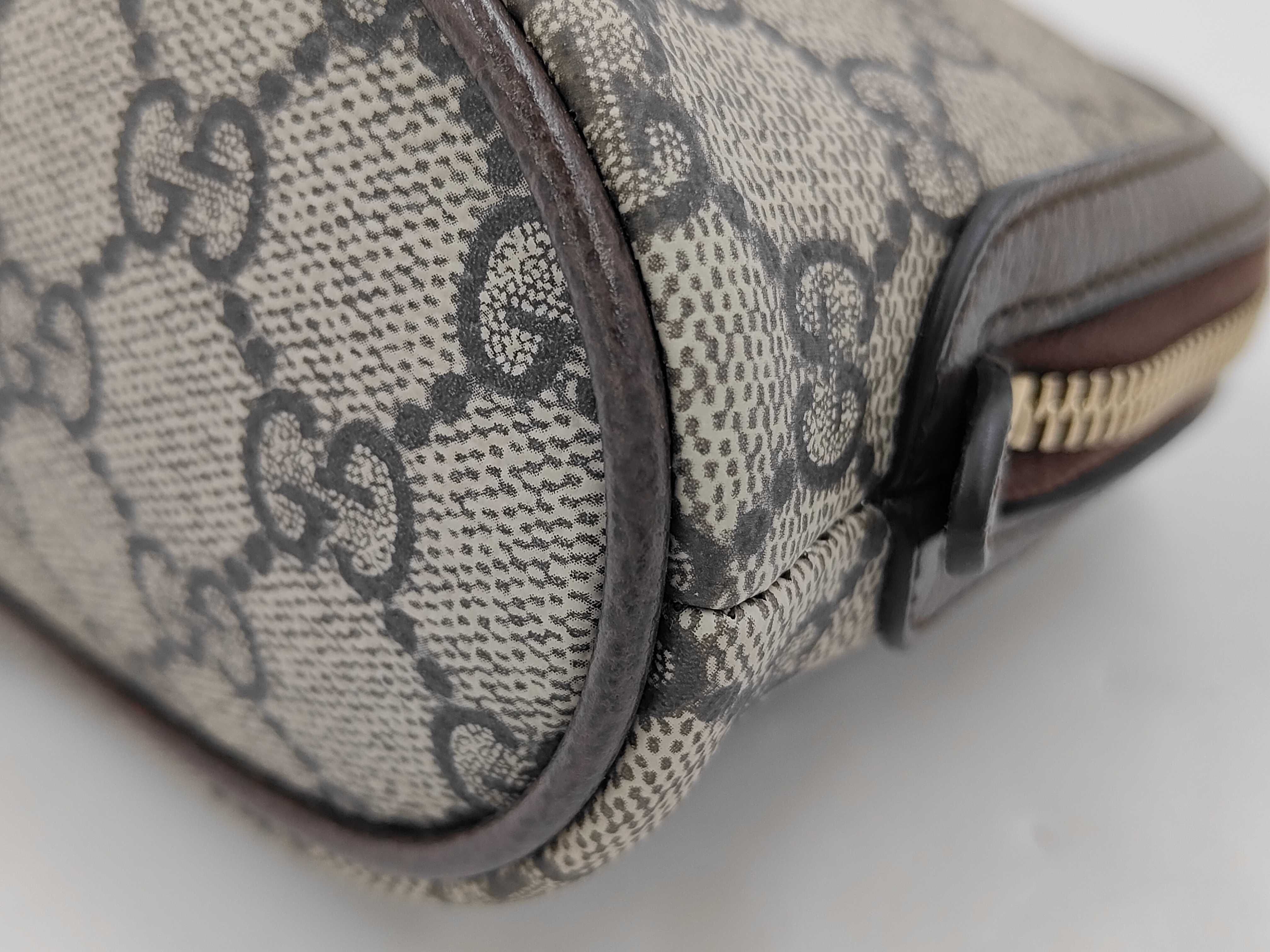 GG Supreme Gucci Ophidia Vanity 838483 Pouch — view 5