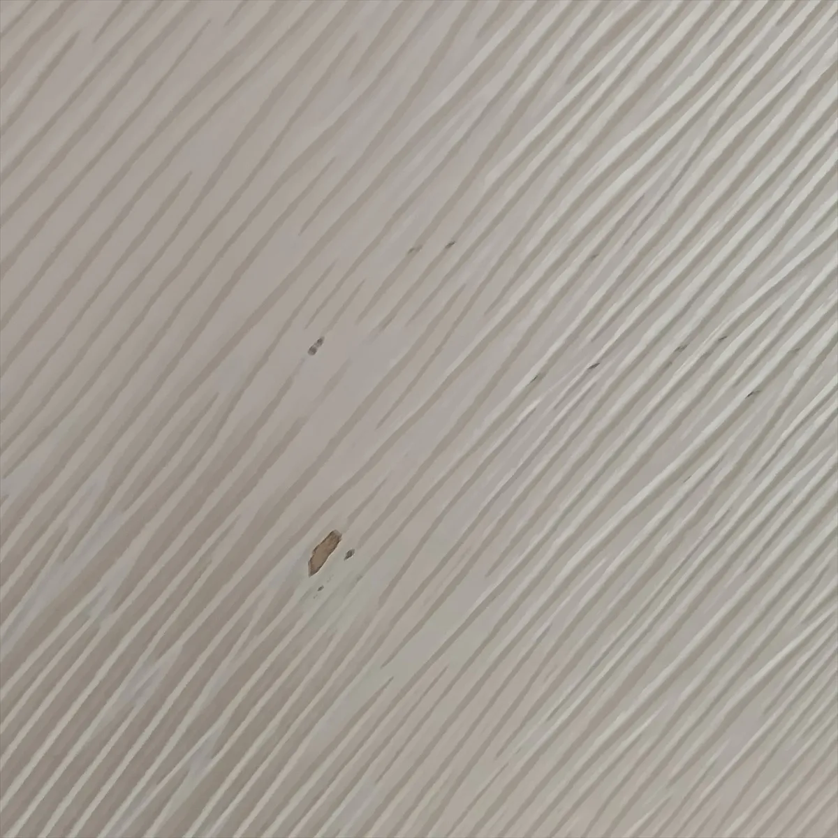 Epi Sac Plat PM M58657 Beige (RFID detected) — view 12