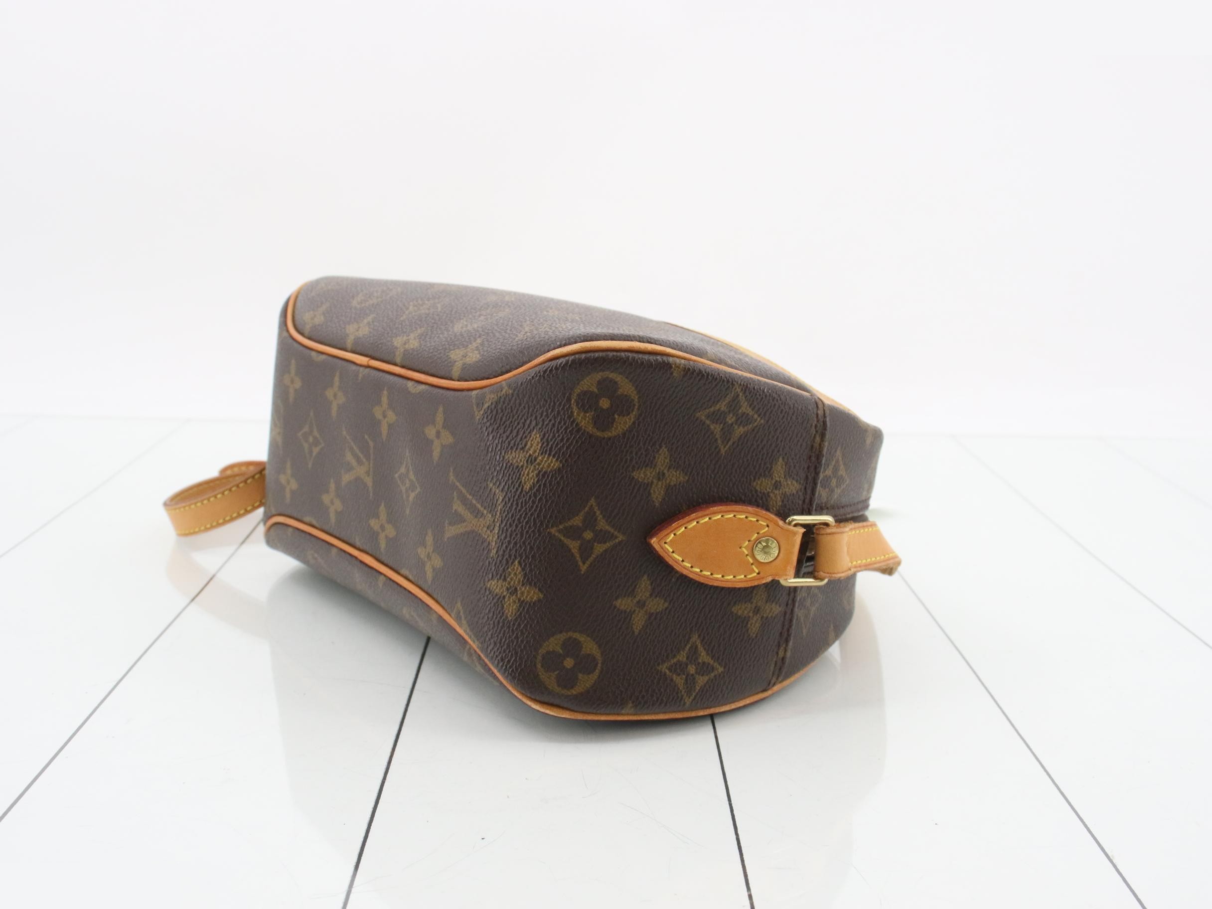 Shoulder Bag Blois Monogram m51221 Leather — view 6