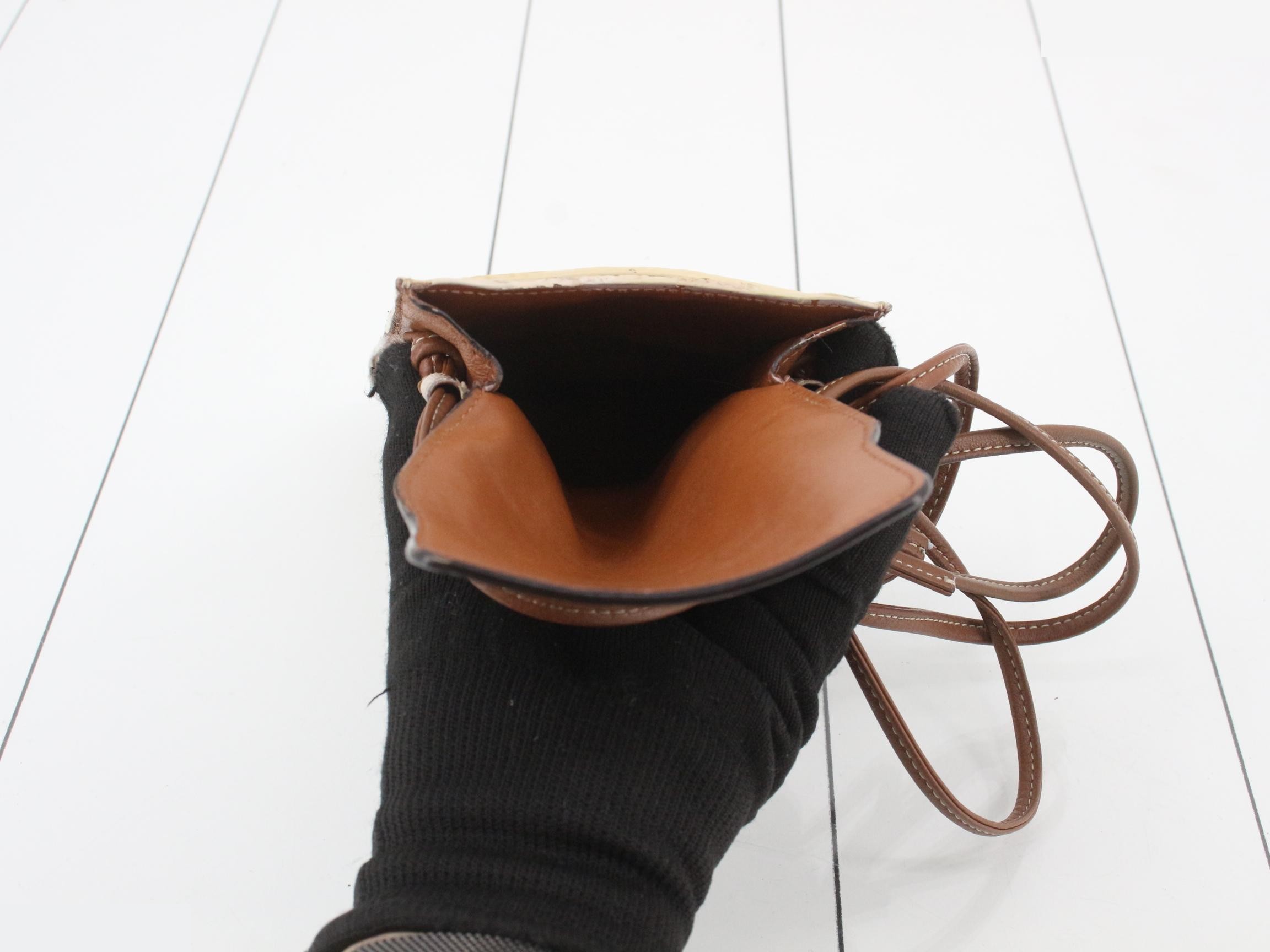 Triomphe Phone Holder Shoulder Bag — view 4