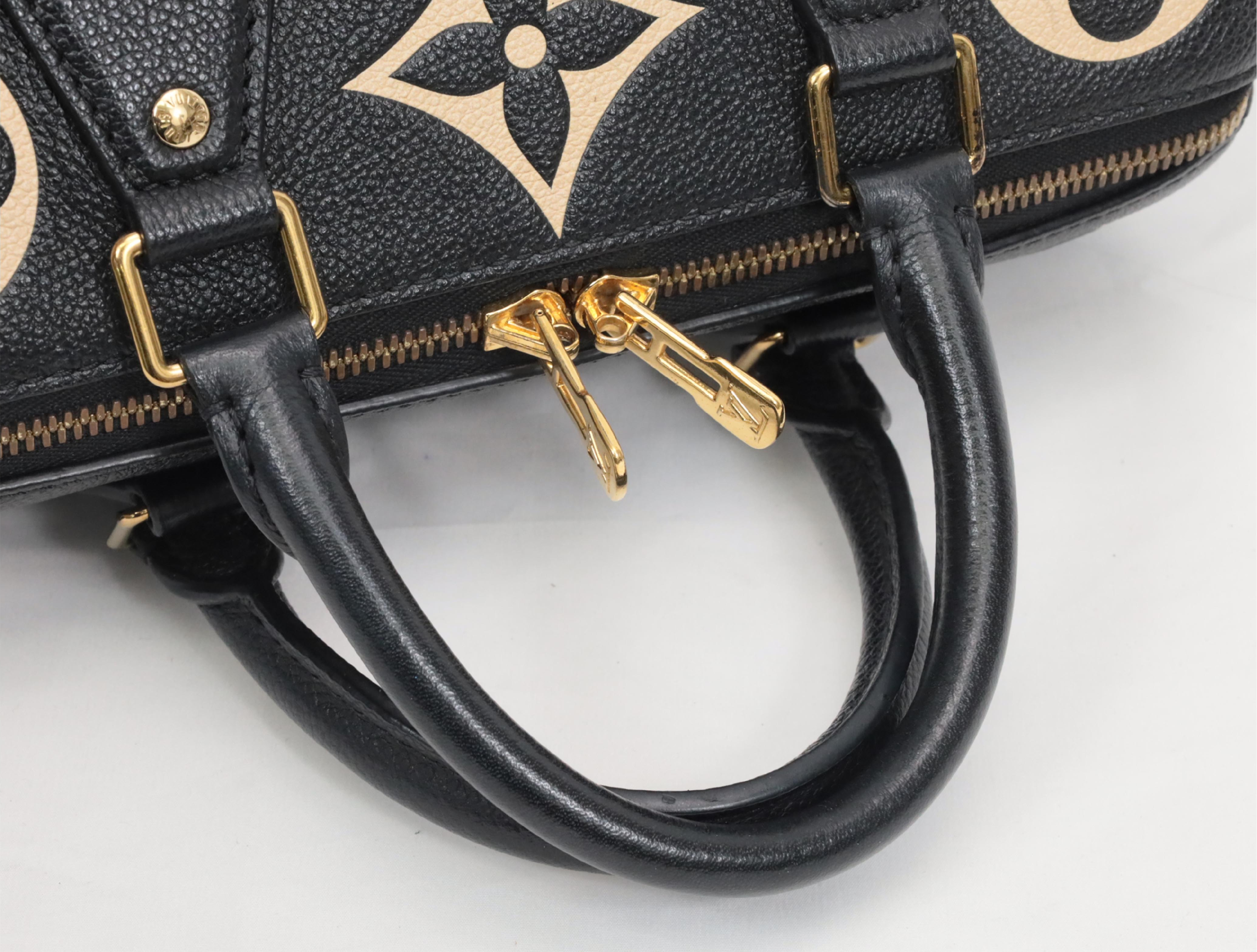 Empreinte Speedy Bandoulière 25 M58947 RFID Shoulder Bag — view 6