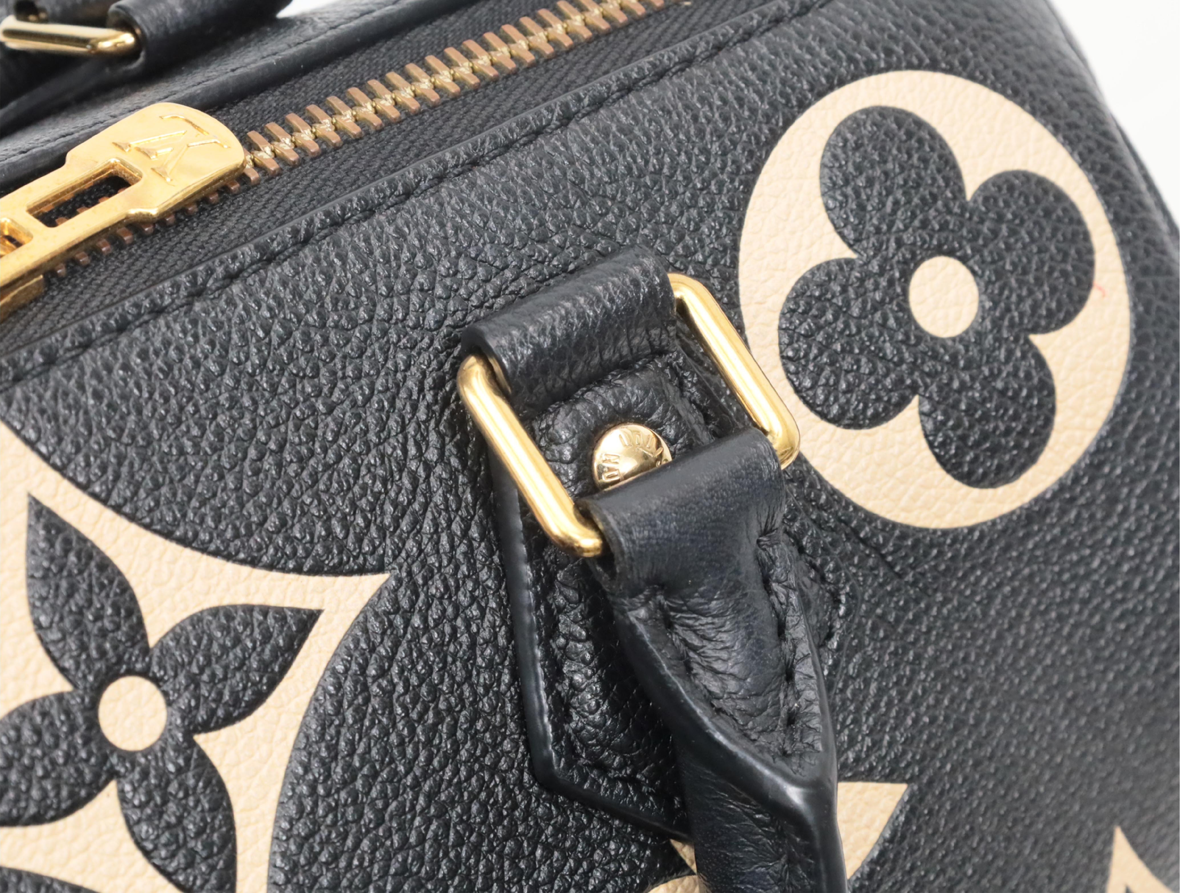 Empreinte Speedy Bandoulière 25 M58947 RFID Shoulder Bag — view 8