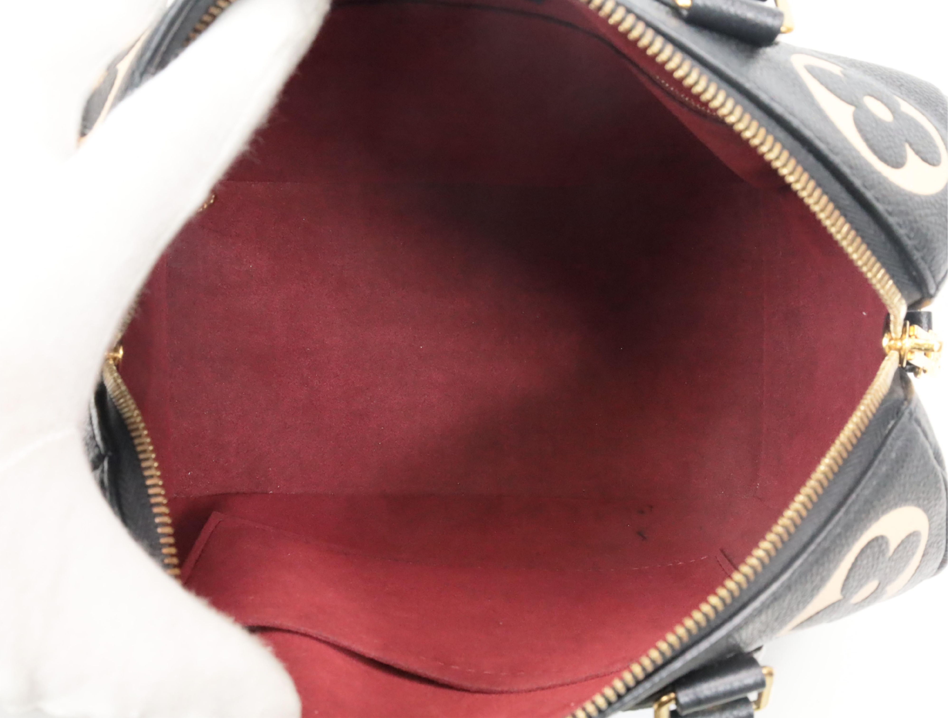 Empreinte Speedy Bandoulière 25 M58947 RFID Shoulder Bag — view 10