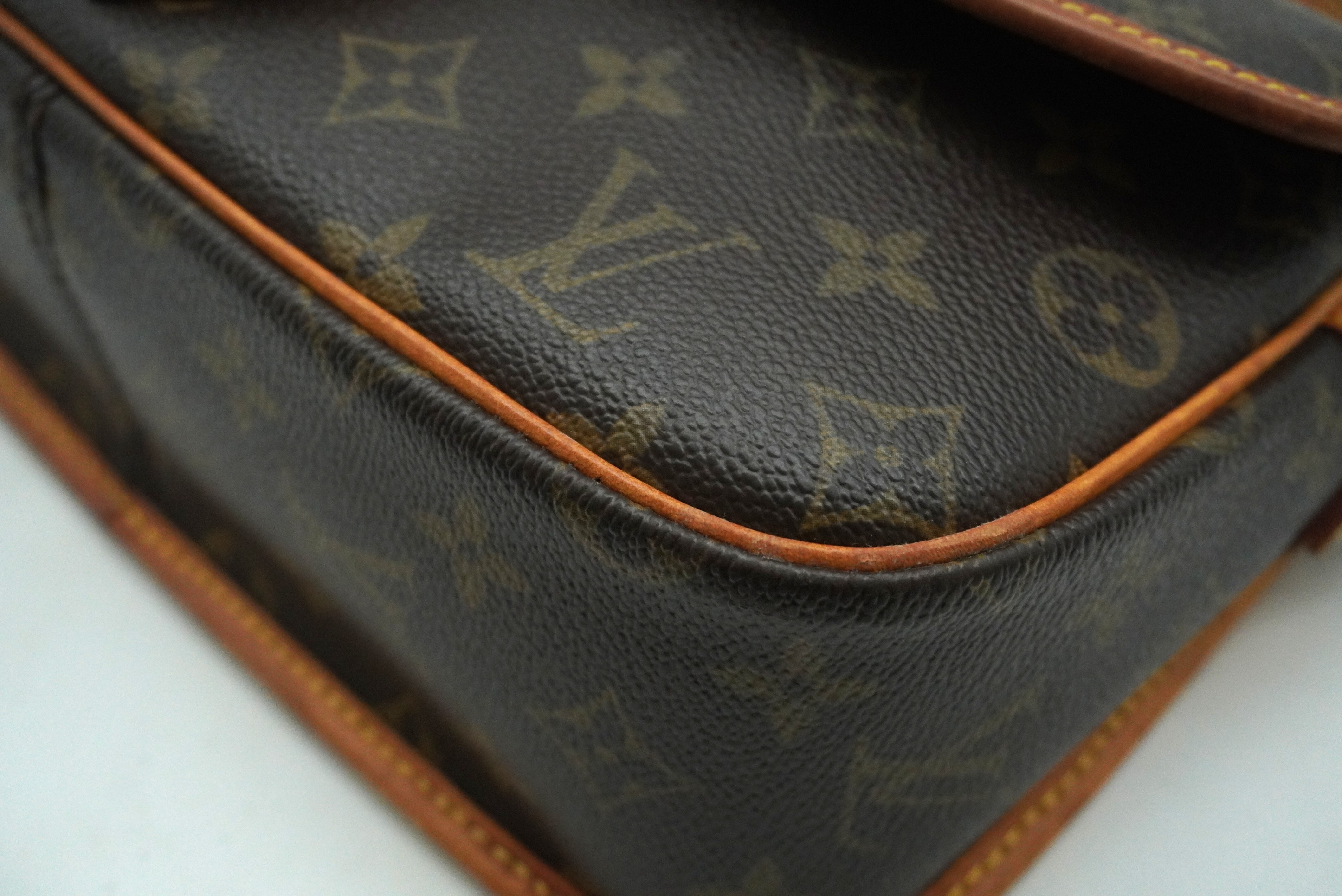 Monogram Sologne M42250 Shoulder Bag — view 7