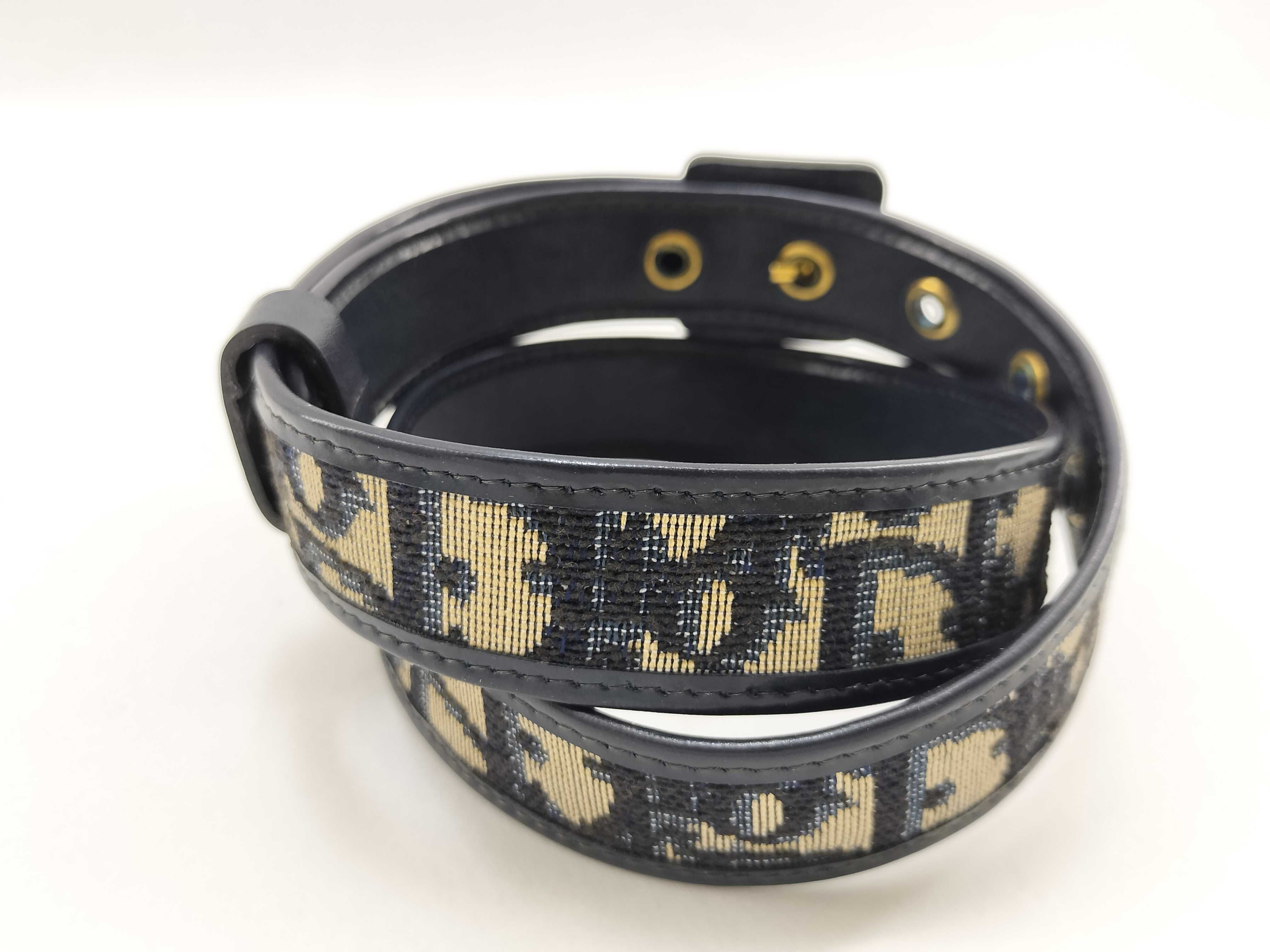 Trotter belt — view 2