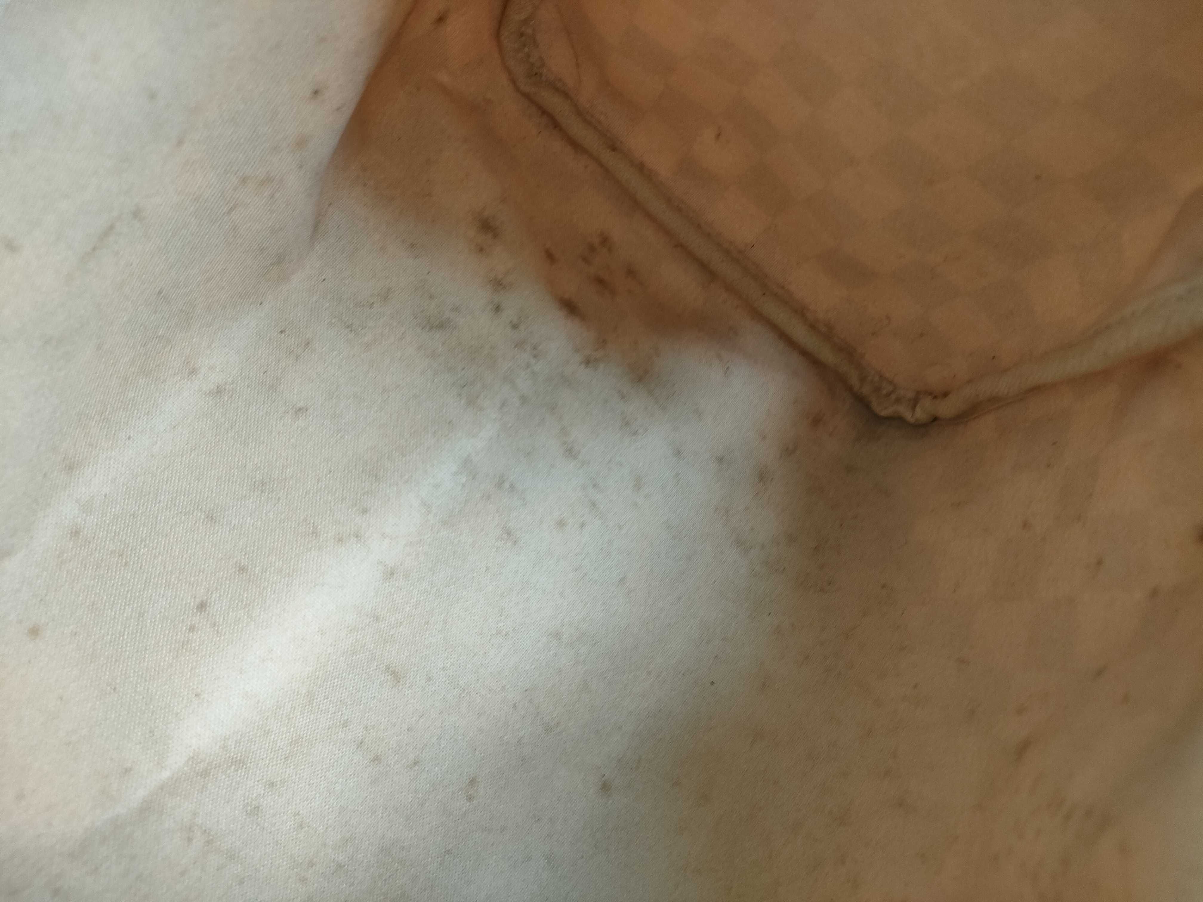 Damier Azur PH - Beige Canvas Speedy 30 Handbag Boston Bag — view 13