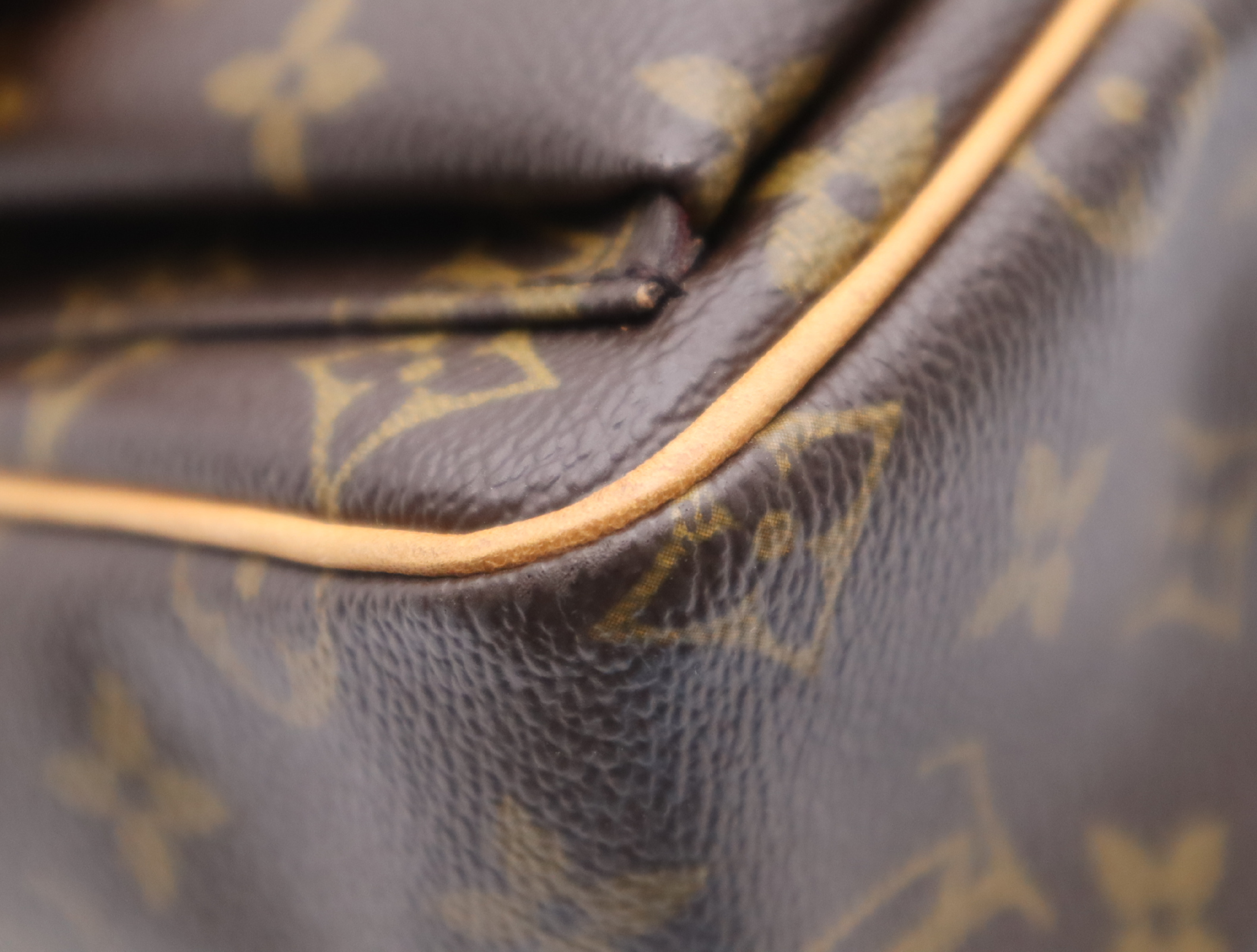 M51165 Monogram Viva Cite PM Shoulder Bag — view 6