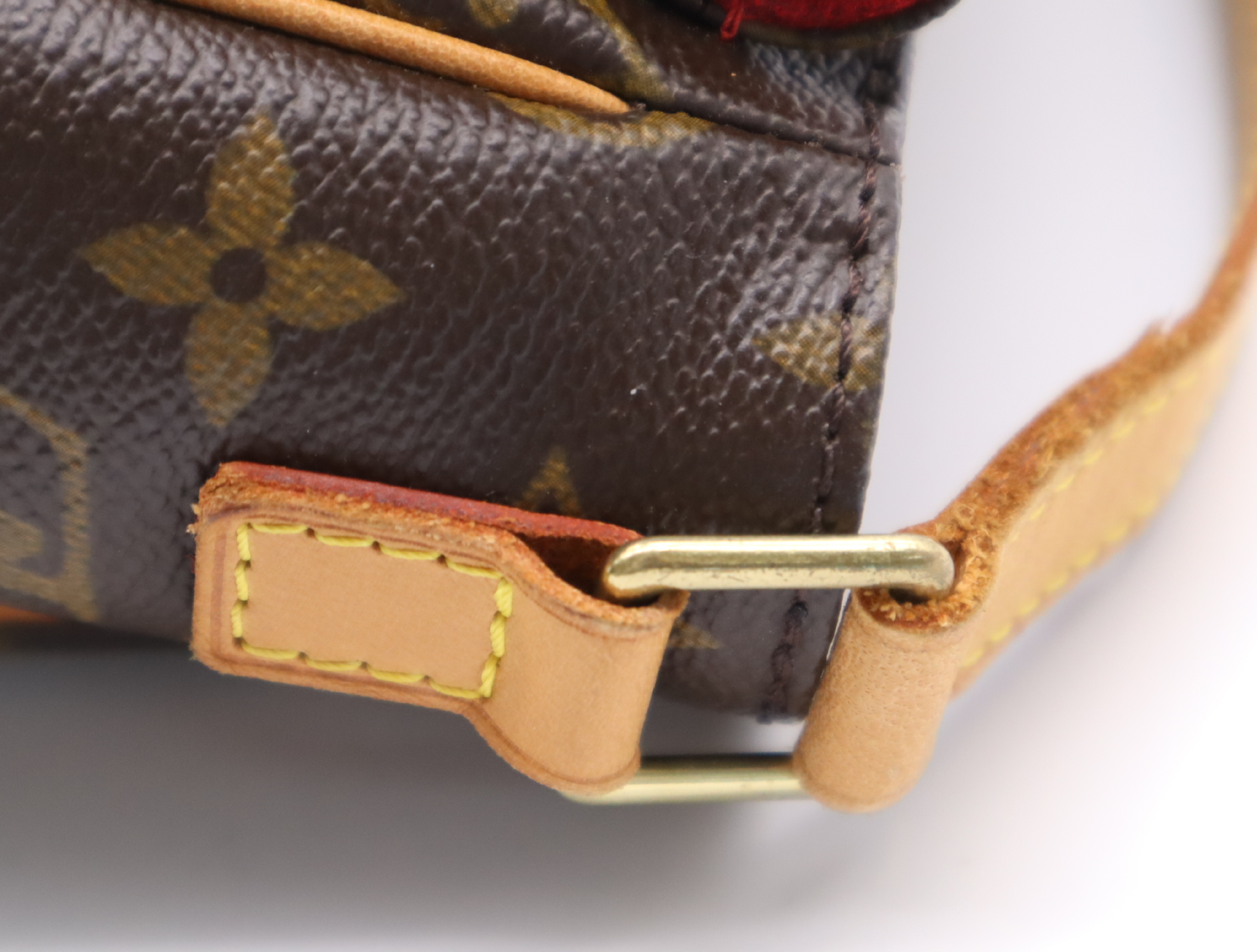 M51165 Monogram Viva Cite PM Shoulder Bag — view 8