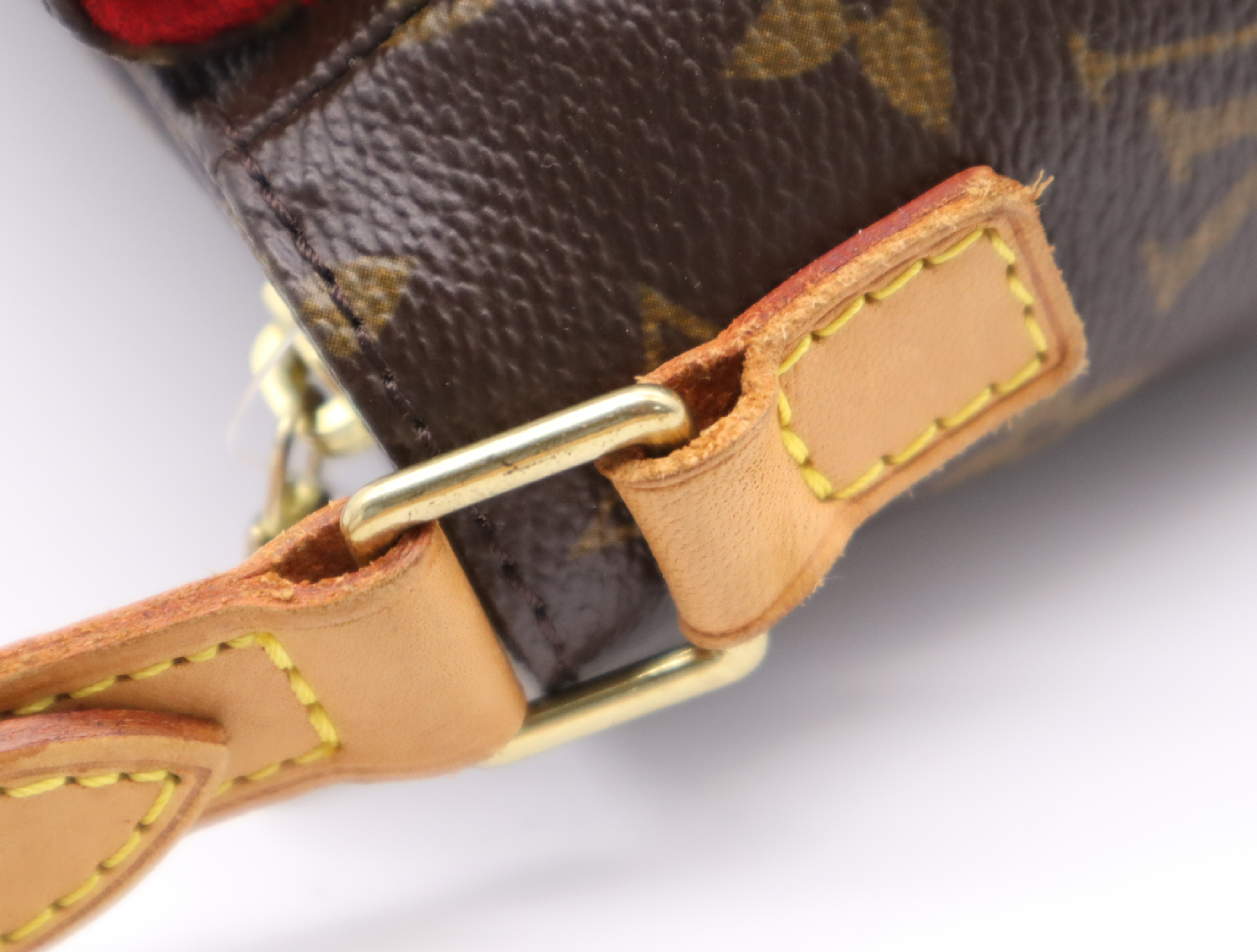 M51165 Monogram Viva Cite PM Shoulder Bag — view 9