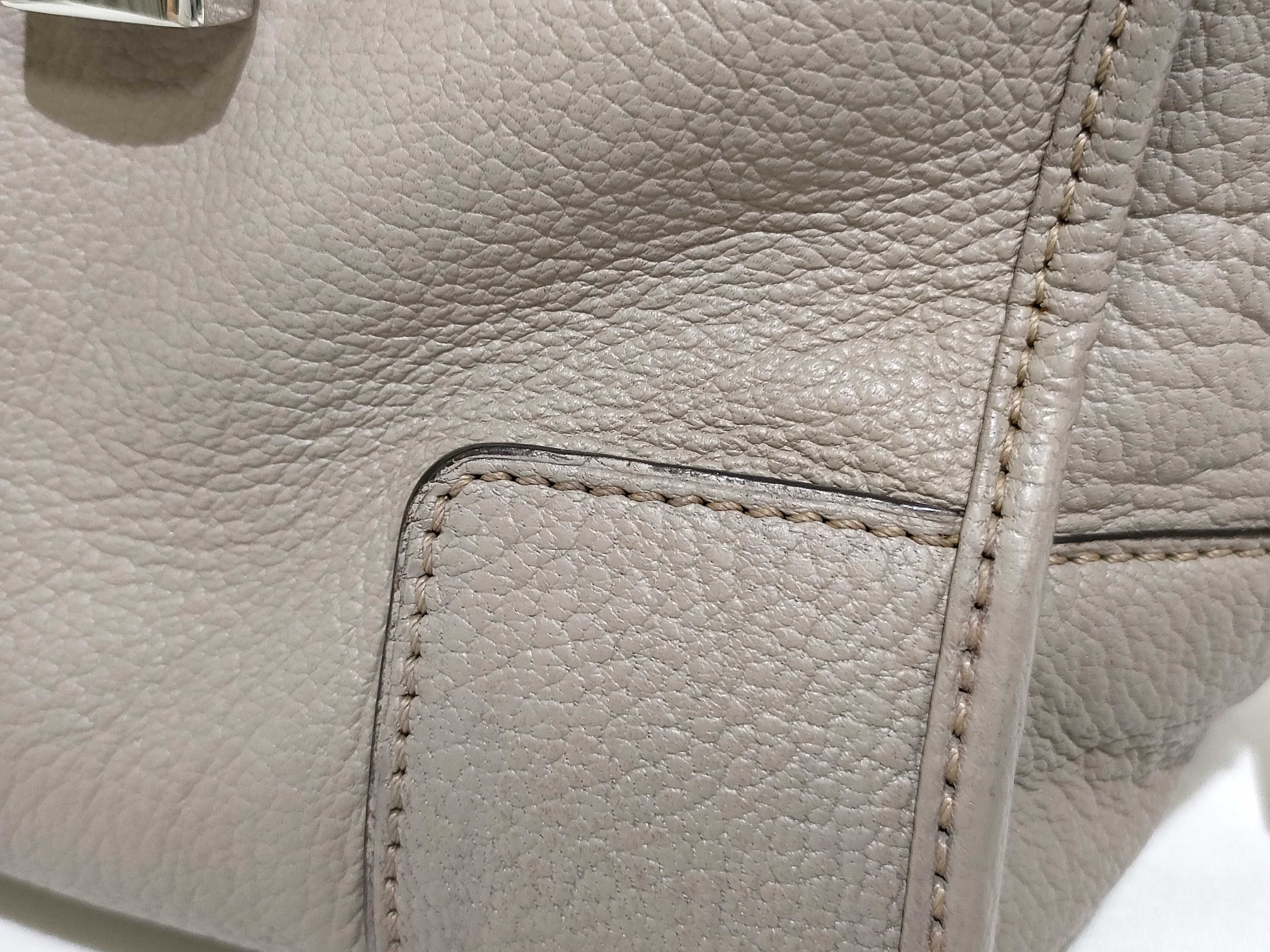 Amazona 28 Handbag (Beige) — view 15