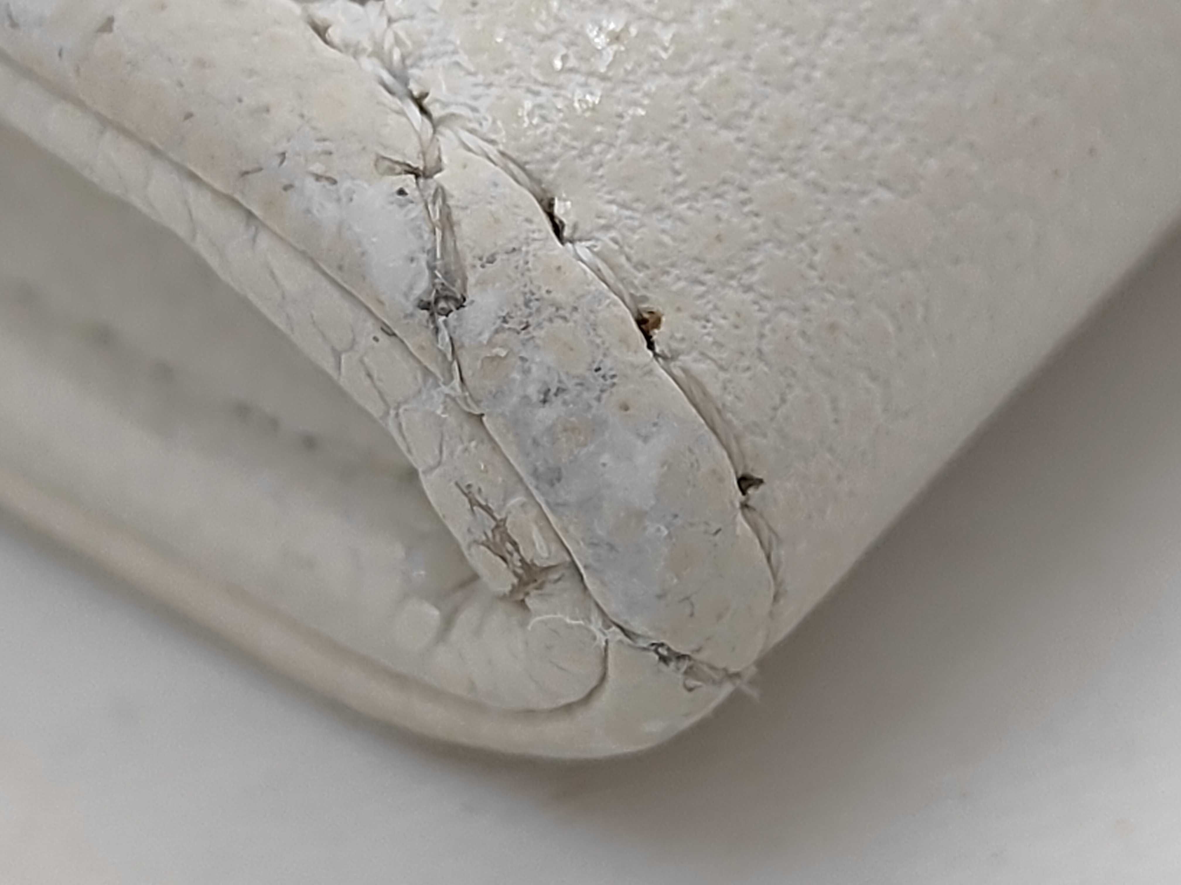 Card Case WHITE Caviar Skin (Grained Calf) Timeless Classic Line Card Case — view 3