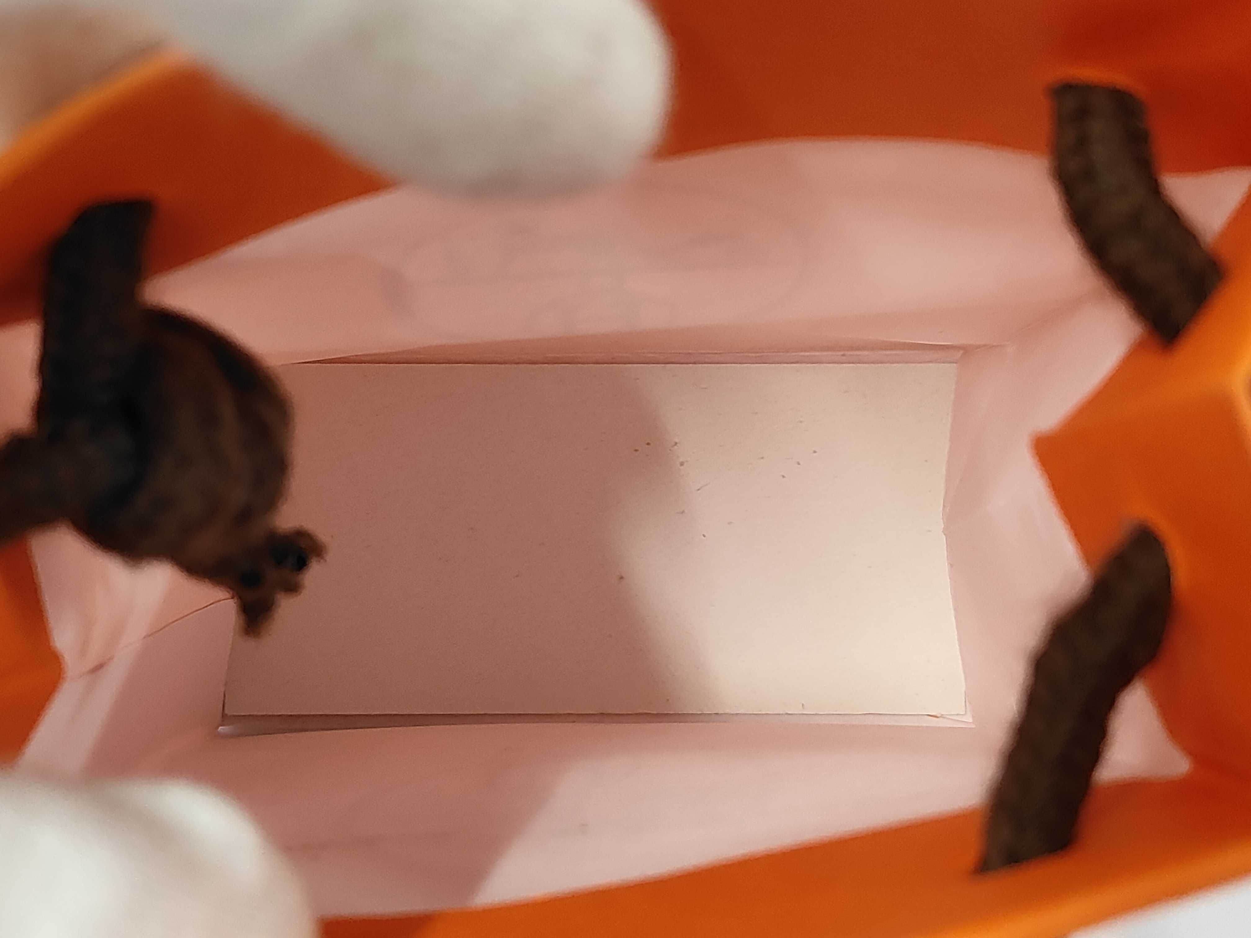 paper bag, empty brand boxes (bundle), empty brand boxes (bundle of empty brand boxes) — view 6
