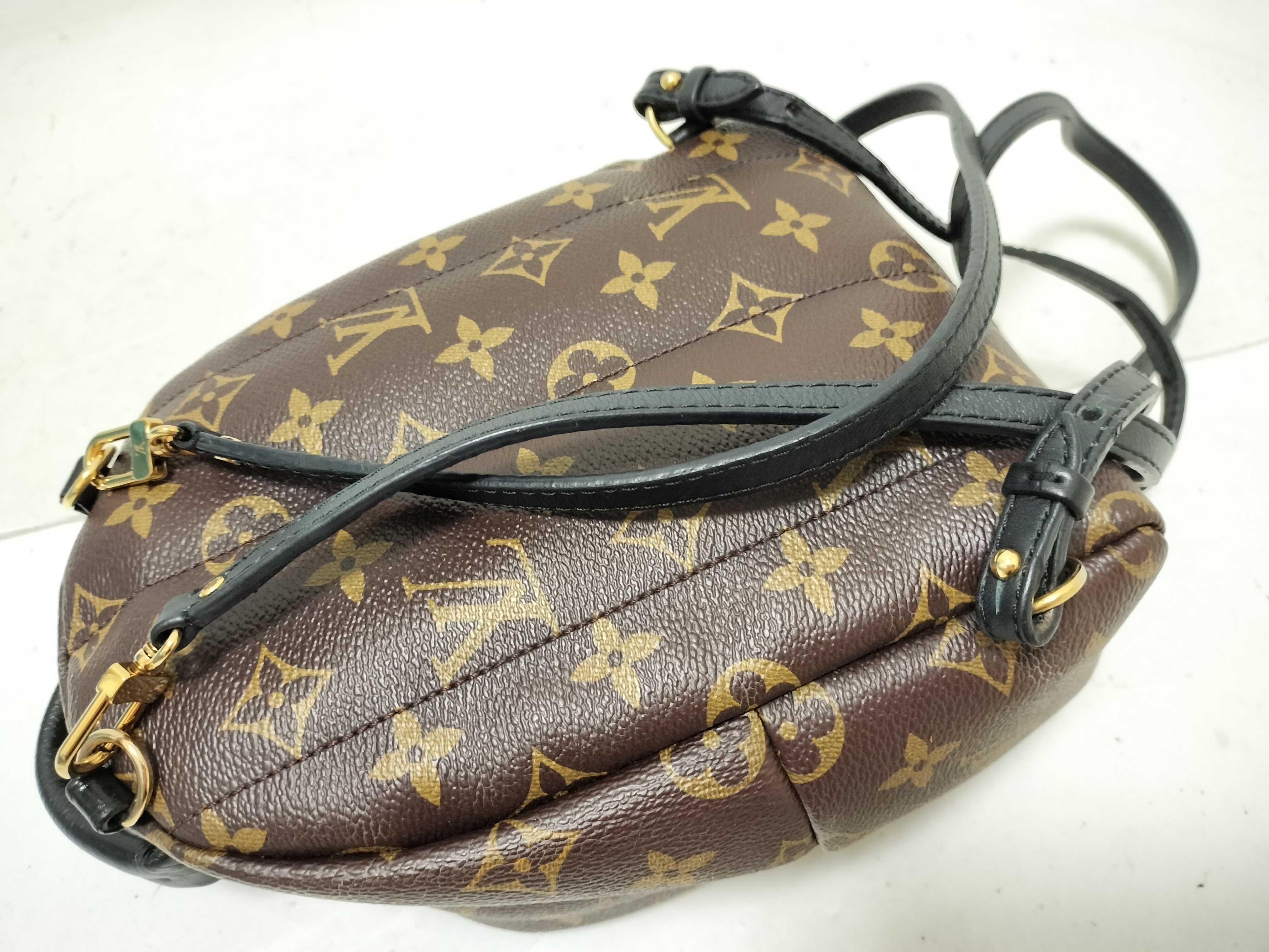 Monogram Louis Vuitton Palm Springs Backpack Mini Monogram Rucksack — view 3