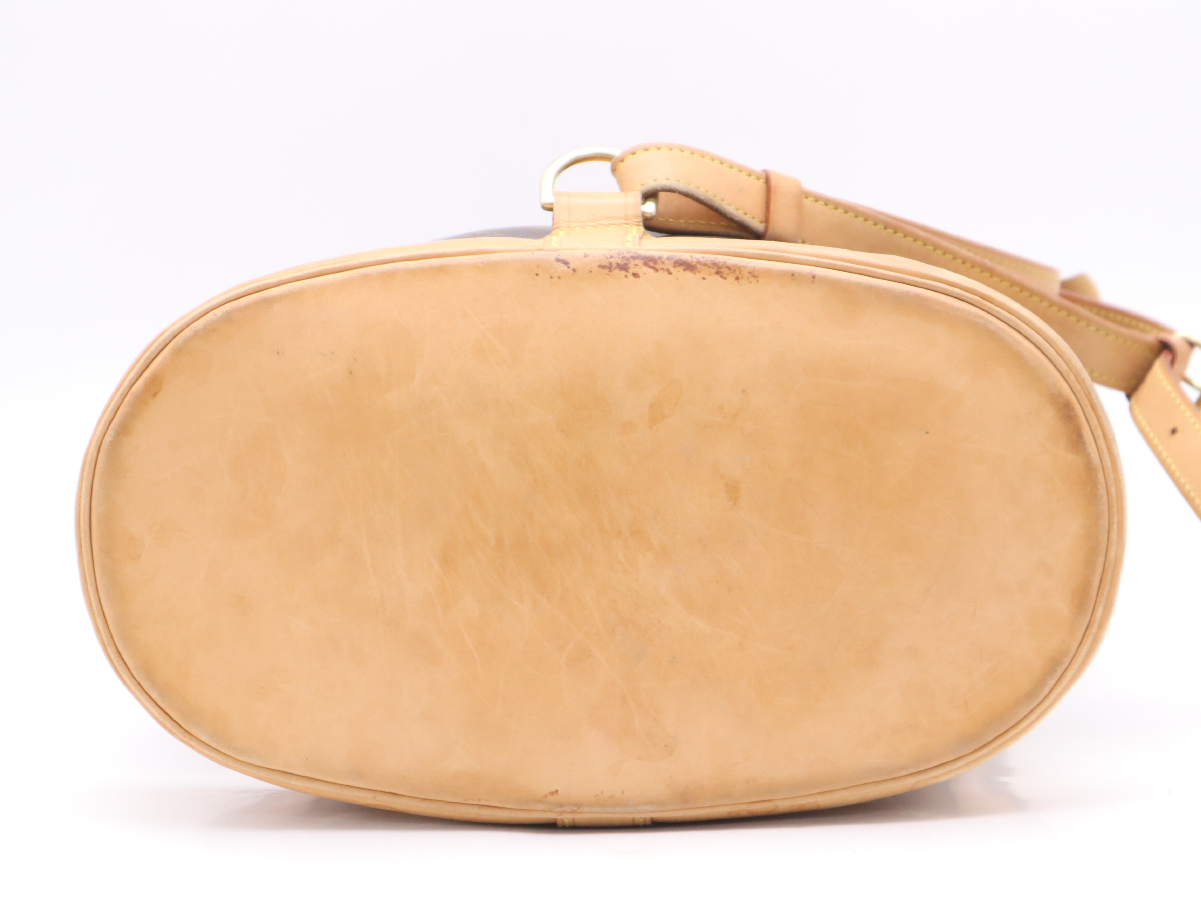 M42243 Monogram Randonee PM Shoulder Bag — view 4