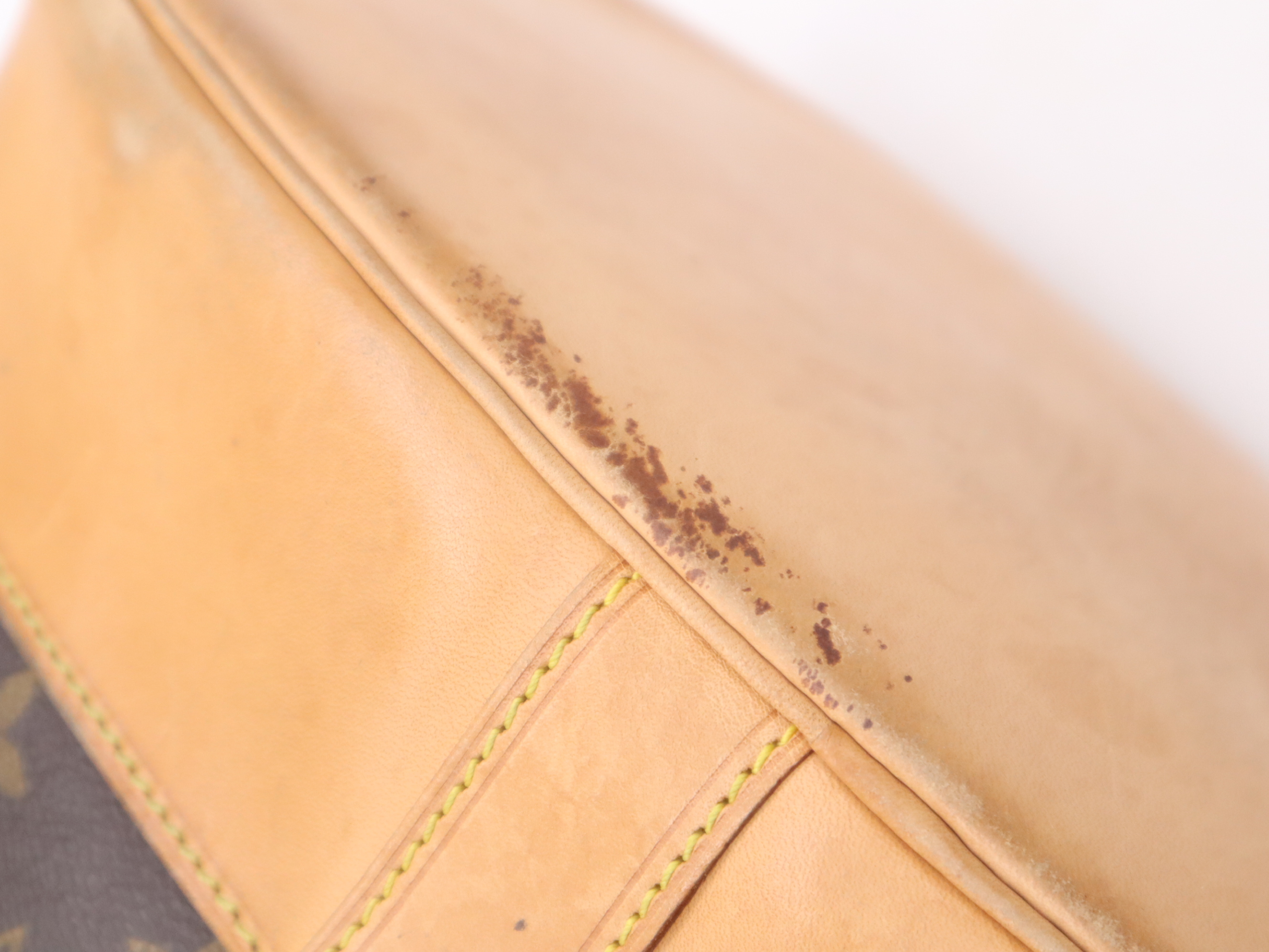 M42243 Monogram Randonee PM Shoulder Bag — view 9