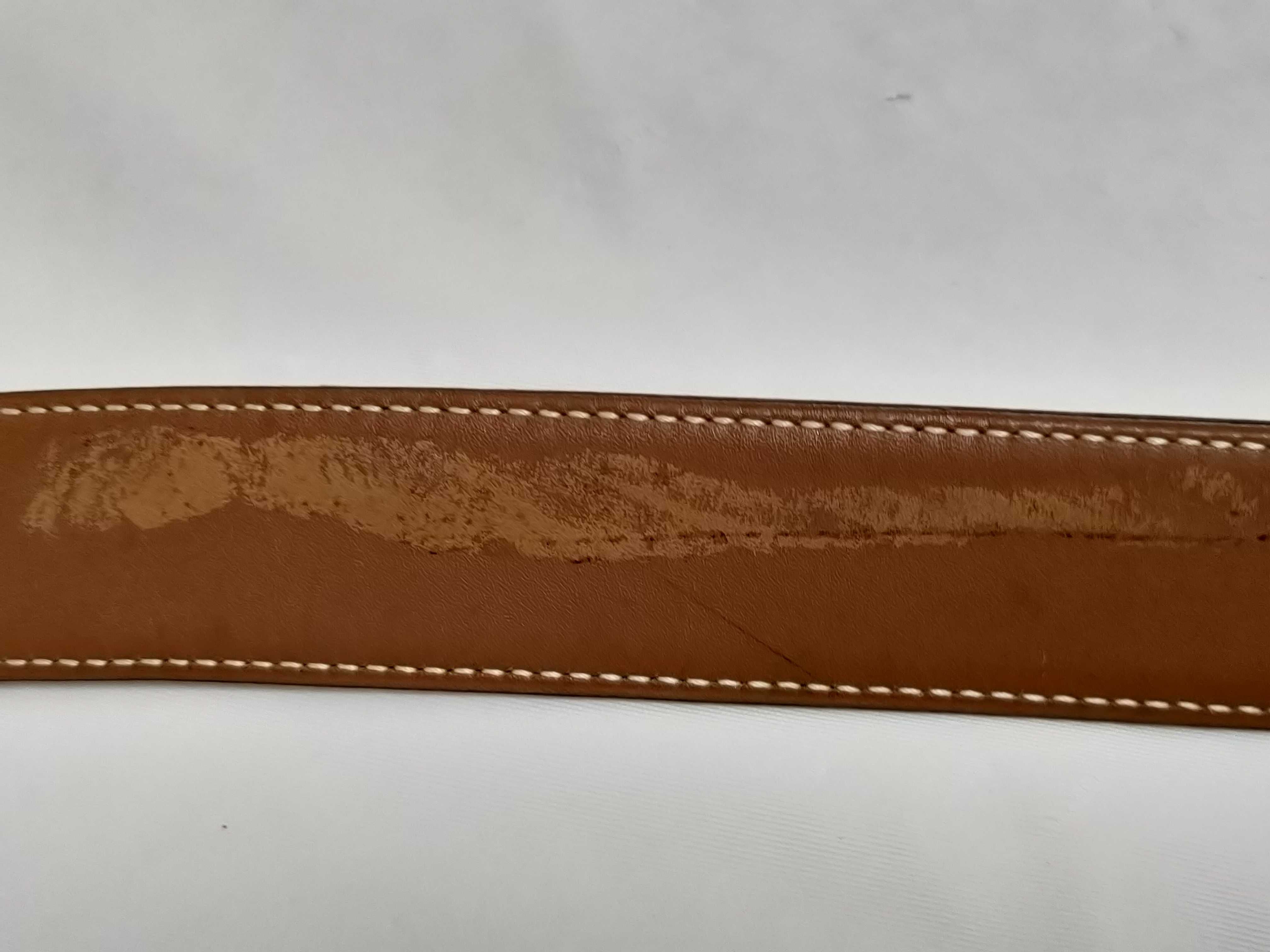Constance Box Calf Belt with Gold Hardware — view 6