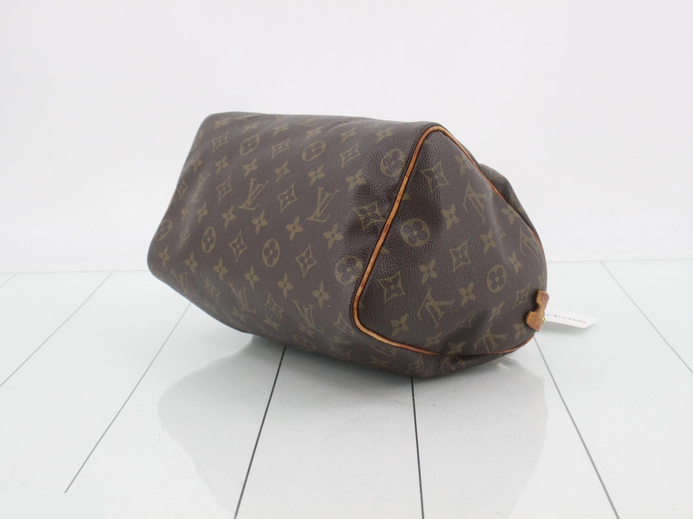 Monogram Speedy 25 (older model) handbag — view 6