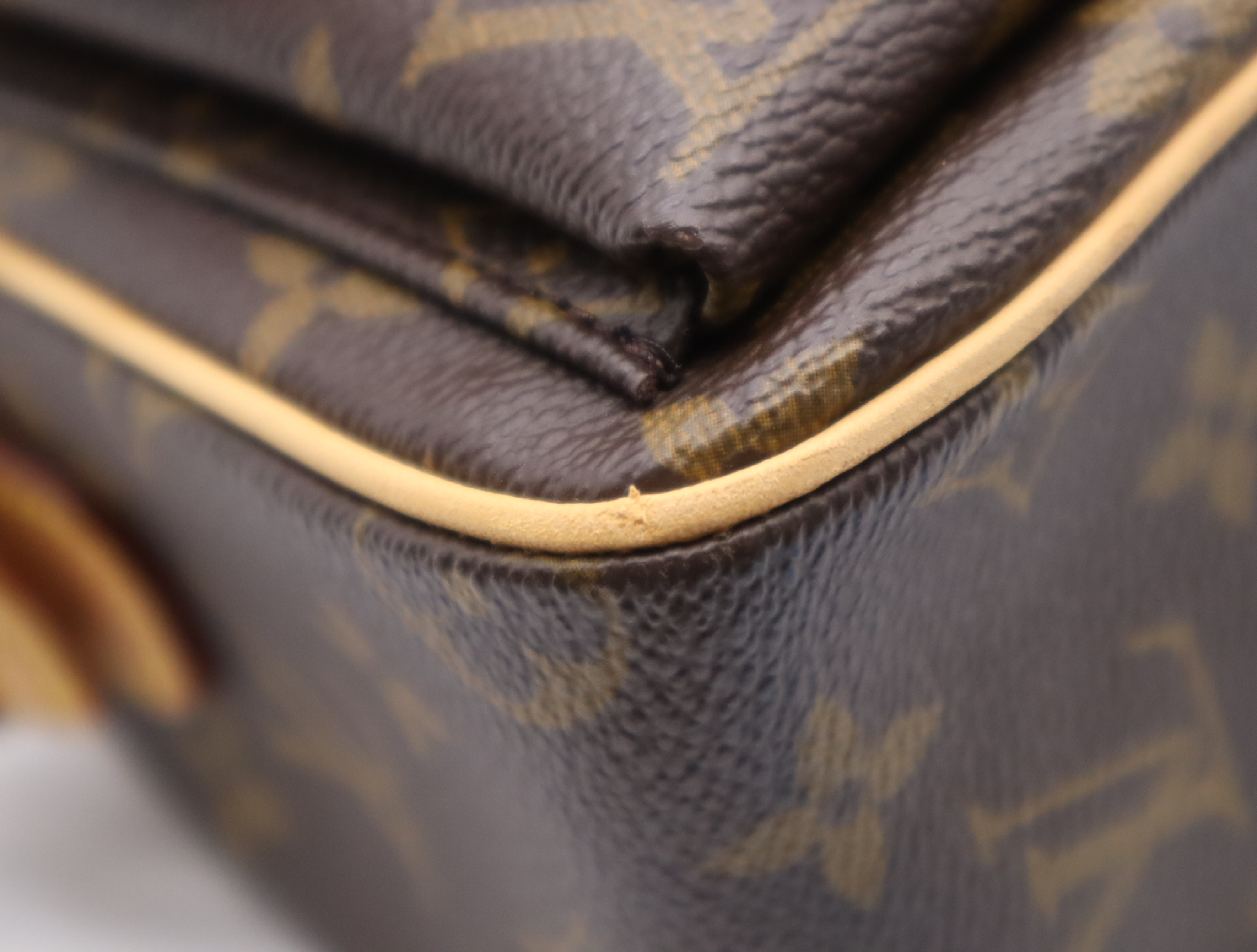 M51164 Monogram Viva Cite MM Handbag — view 6
