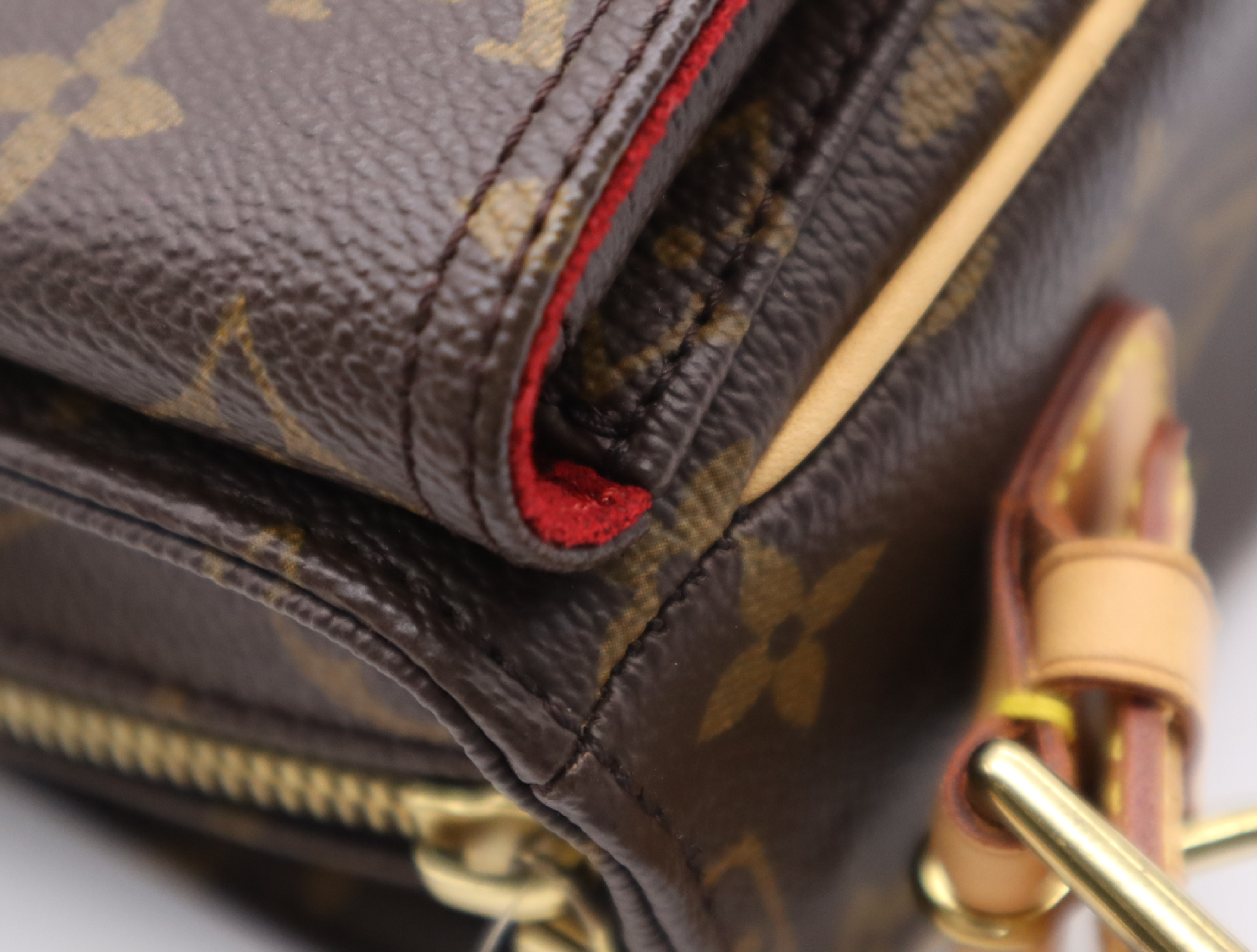 M51164 Monogram Viva Cite MM Handbag — view 10