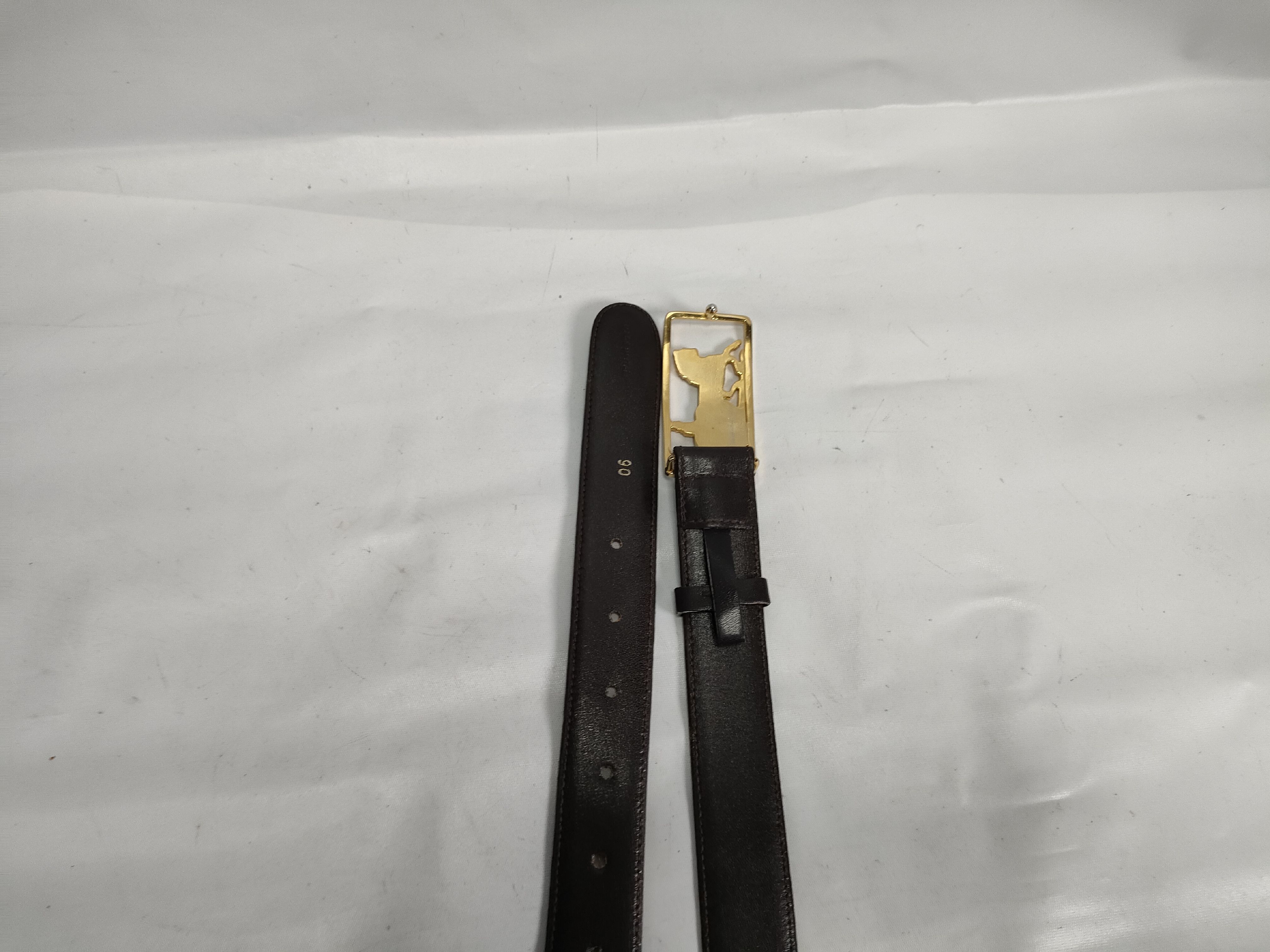 carriage buckle belt — view 5