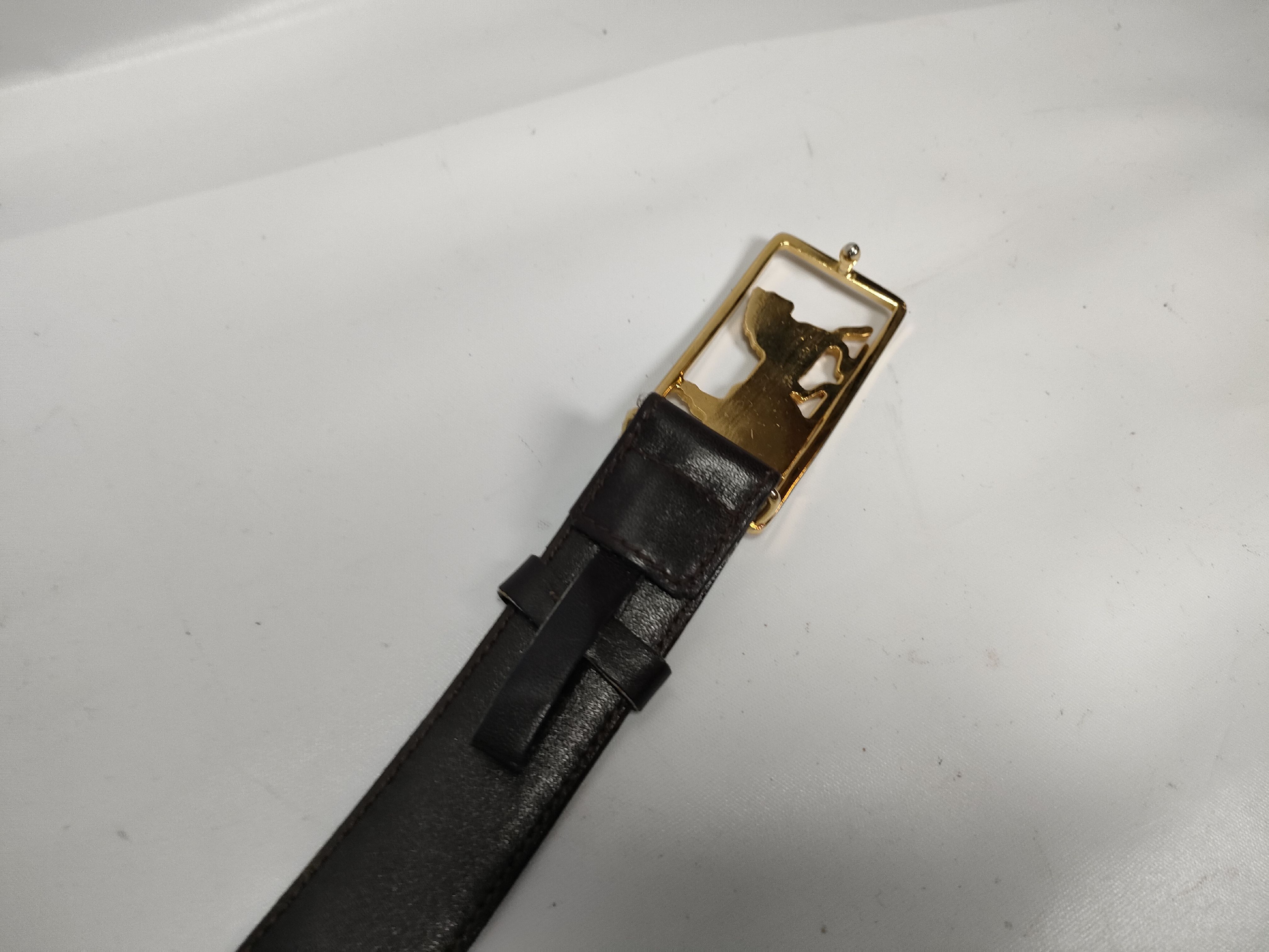 carriage buckle belt — view 10