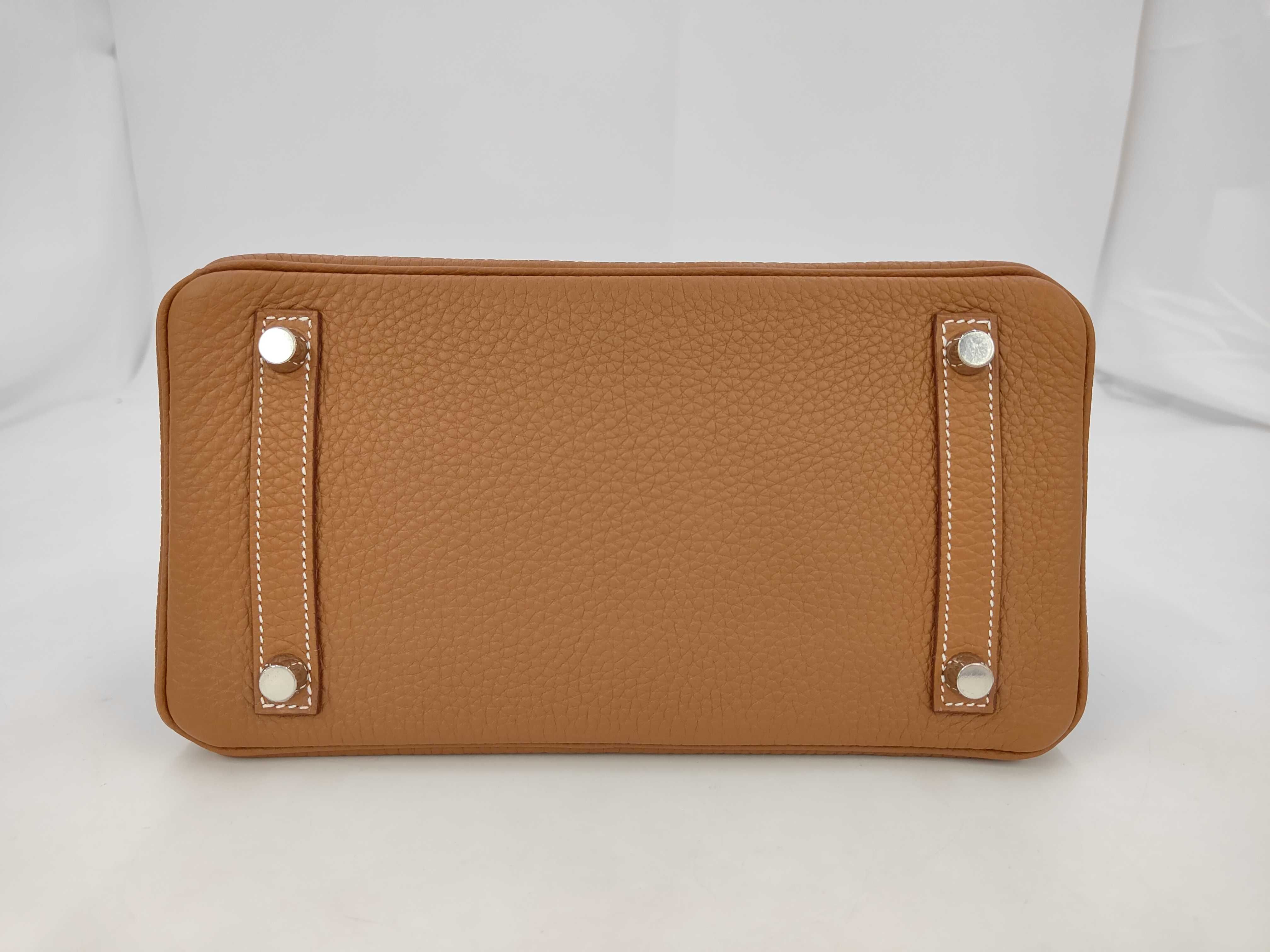 Birkin 25 Gold Togo Leather Silver Hardware G Stamp Handbag — view 4